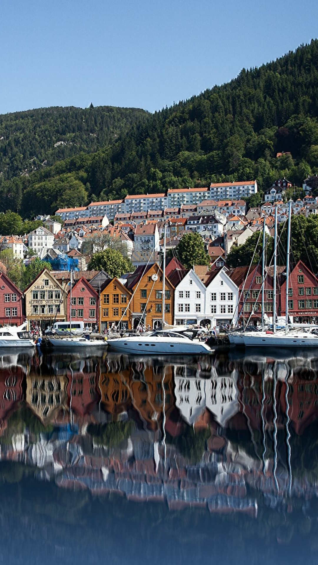 Norway: Bergen, The country is bordered by the Skagerrak strait to the south. 1080x1920 Full HD Wallpaper.