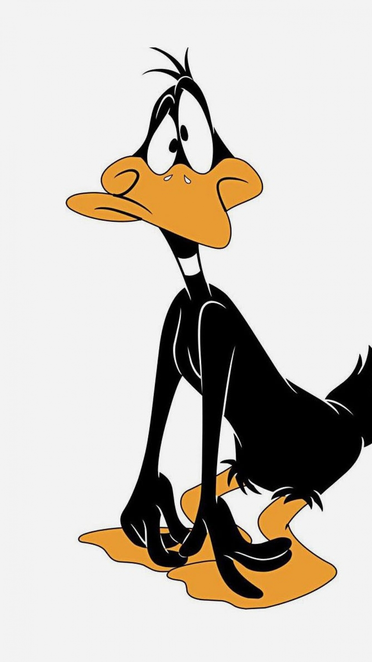 Screenbeauty, Looney Tunes, Daffy Duck, Cartoon characters, 1250x2210 HD Phone