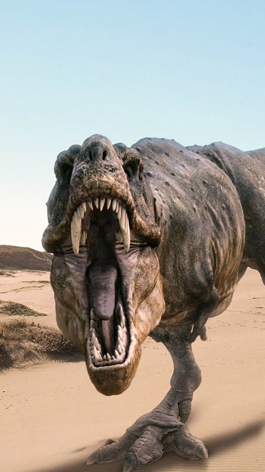 High-quality images, Fascinating dinosaurs, Download wallpapers, Dinosaur enthusiasts, 1080x1920 Full HD Handy