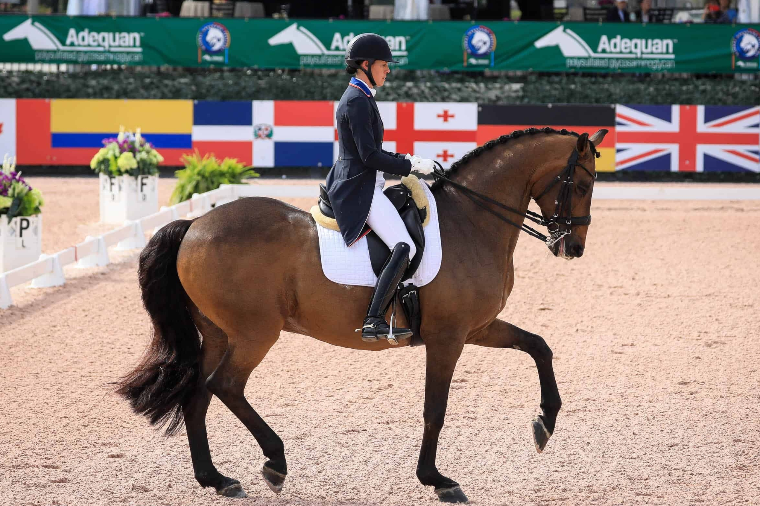 Dressage: LaGoy-Weltz and Rassing's Lonoir, Week One of the 2021 Conclusion, Global Dressage Festival with Personal Best. 2600x1740 HD Wallpaper.