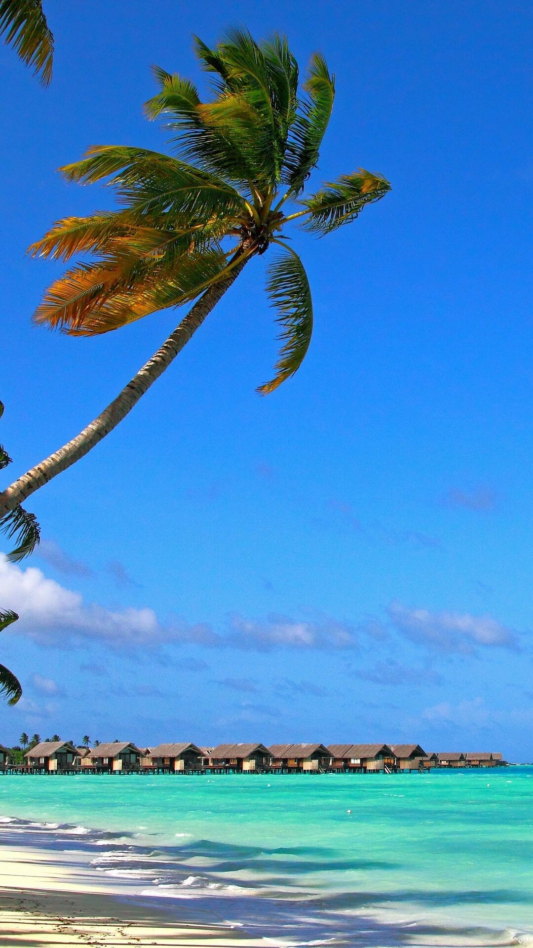 Summer: The season of bright sunlight, Tropical beaches. 1080x1920 Full HD Background.