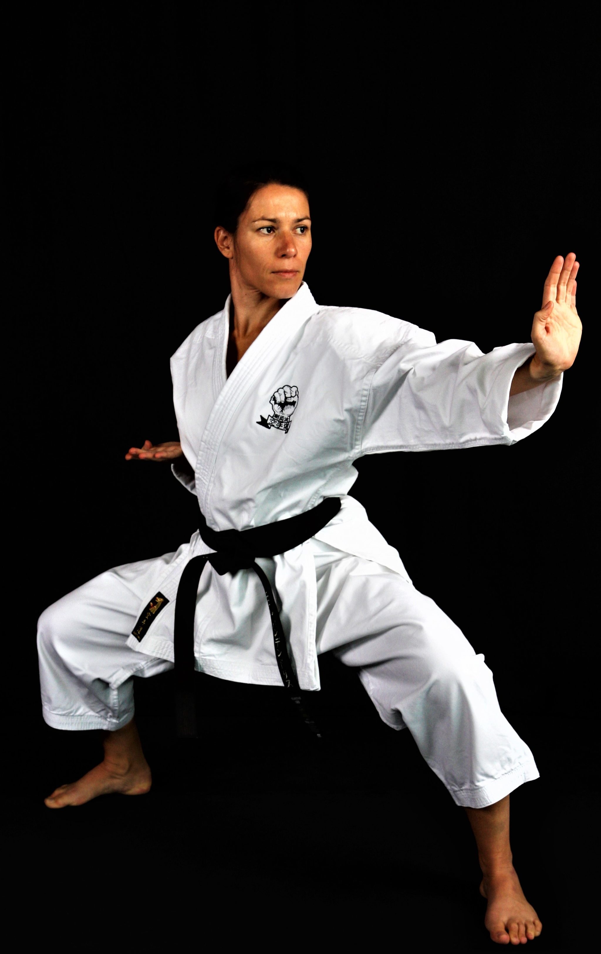 Karate: A martial art developed in the Ryukyu Kingdom under the influence of Chinese martial arts. 2050x3260 HD Background.