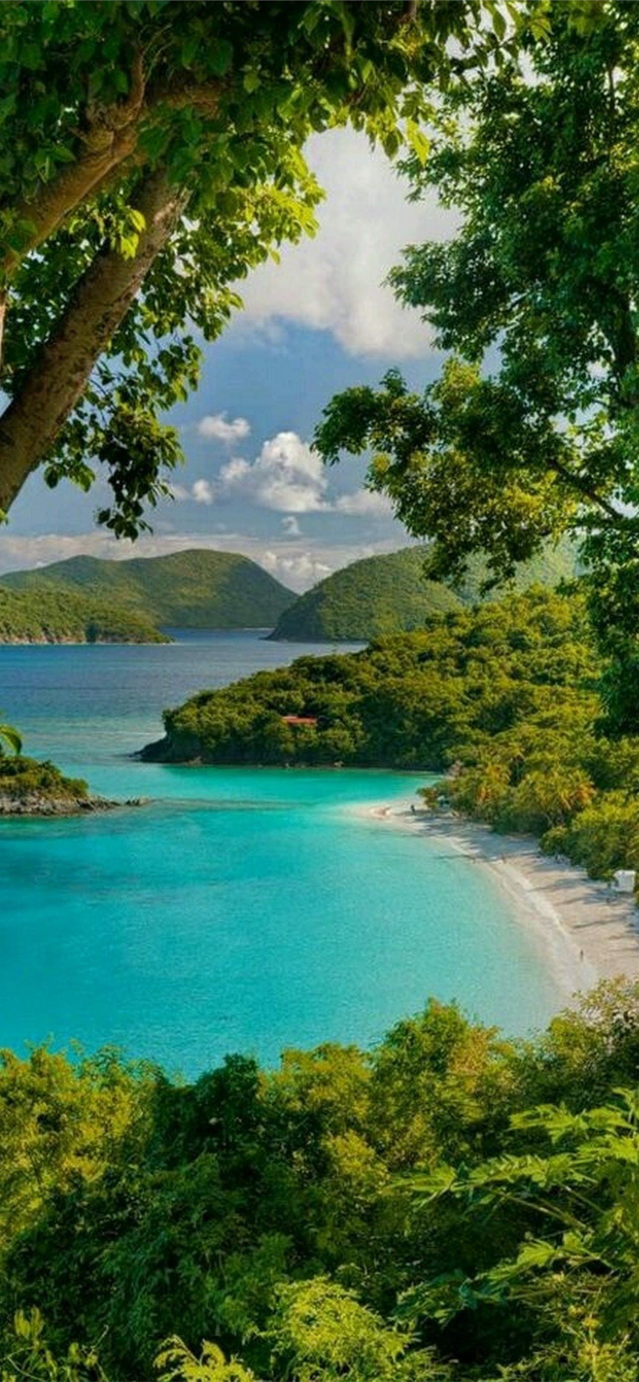 Virgin Islands National Park, iPhone wallpapers, HD, Scenic beauty, 1290x2780 HD Phone