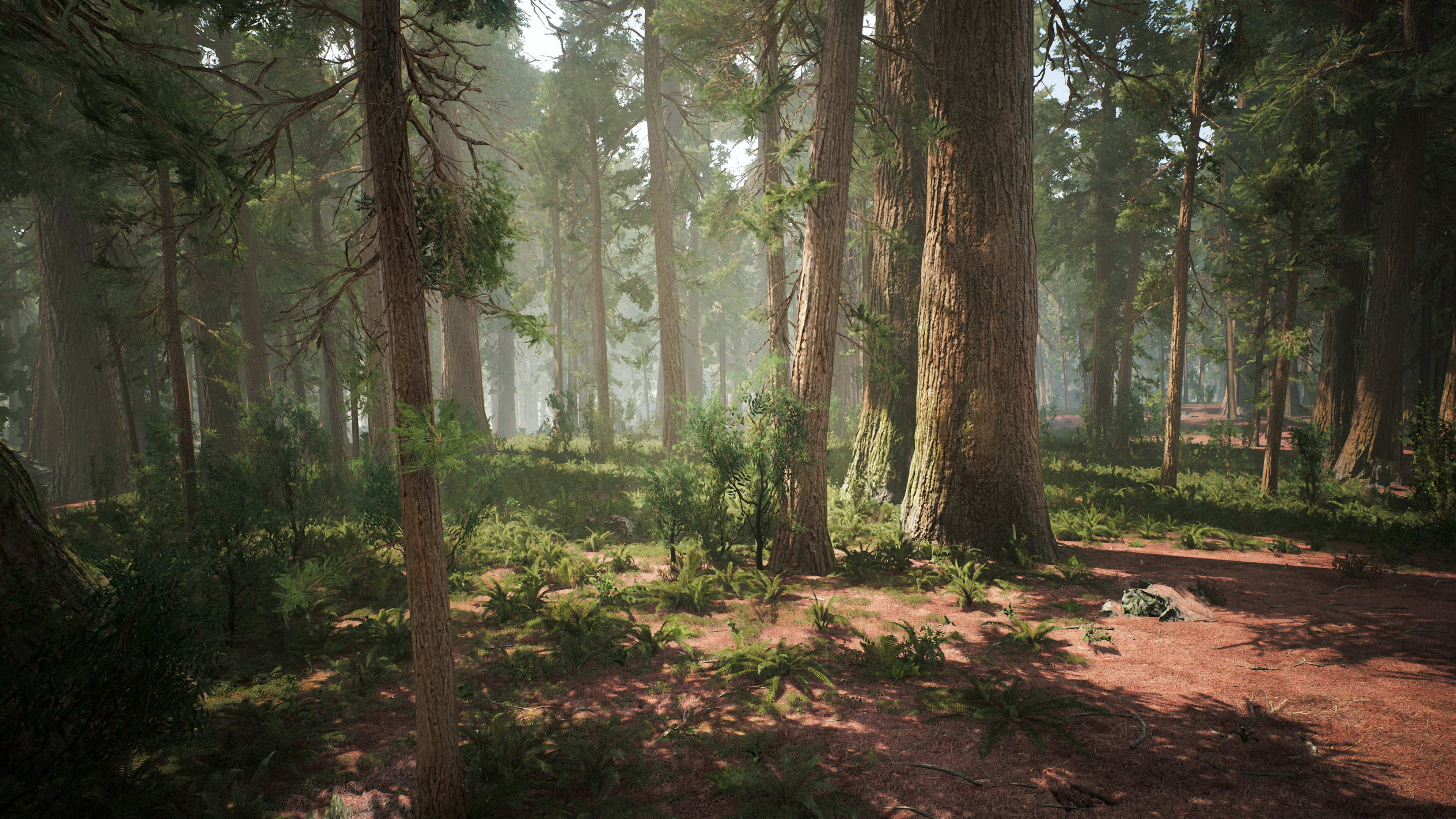 Enchanting UE4 forest, Redwood wonderland, Nature's majesty, Tranquil scenery, 3840x2160 4K Desktop
