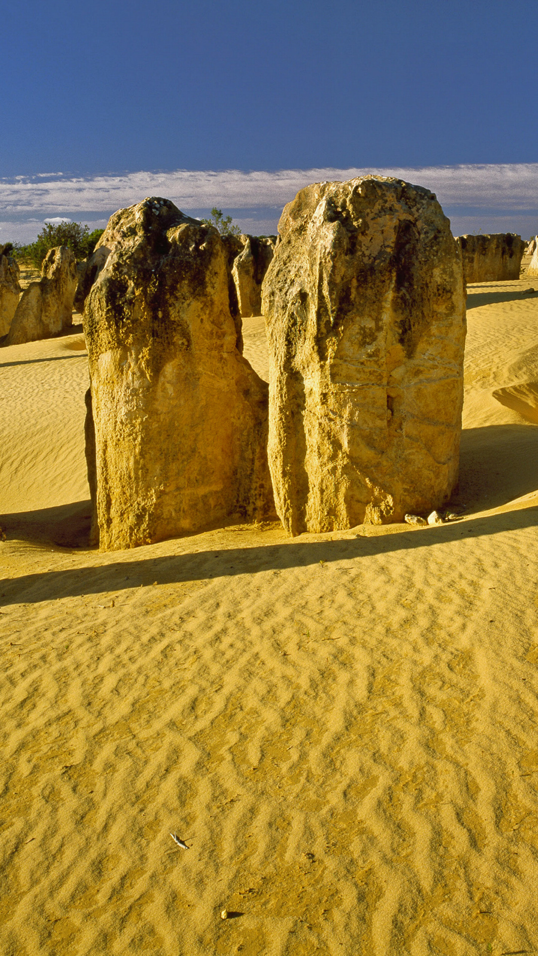 Nambung National Park, Pinnacles Desert, Western Australasia, Windows 10 spotlight, 1080x1920 Full HD Handy
