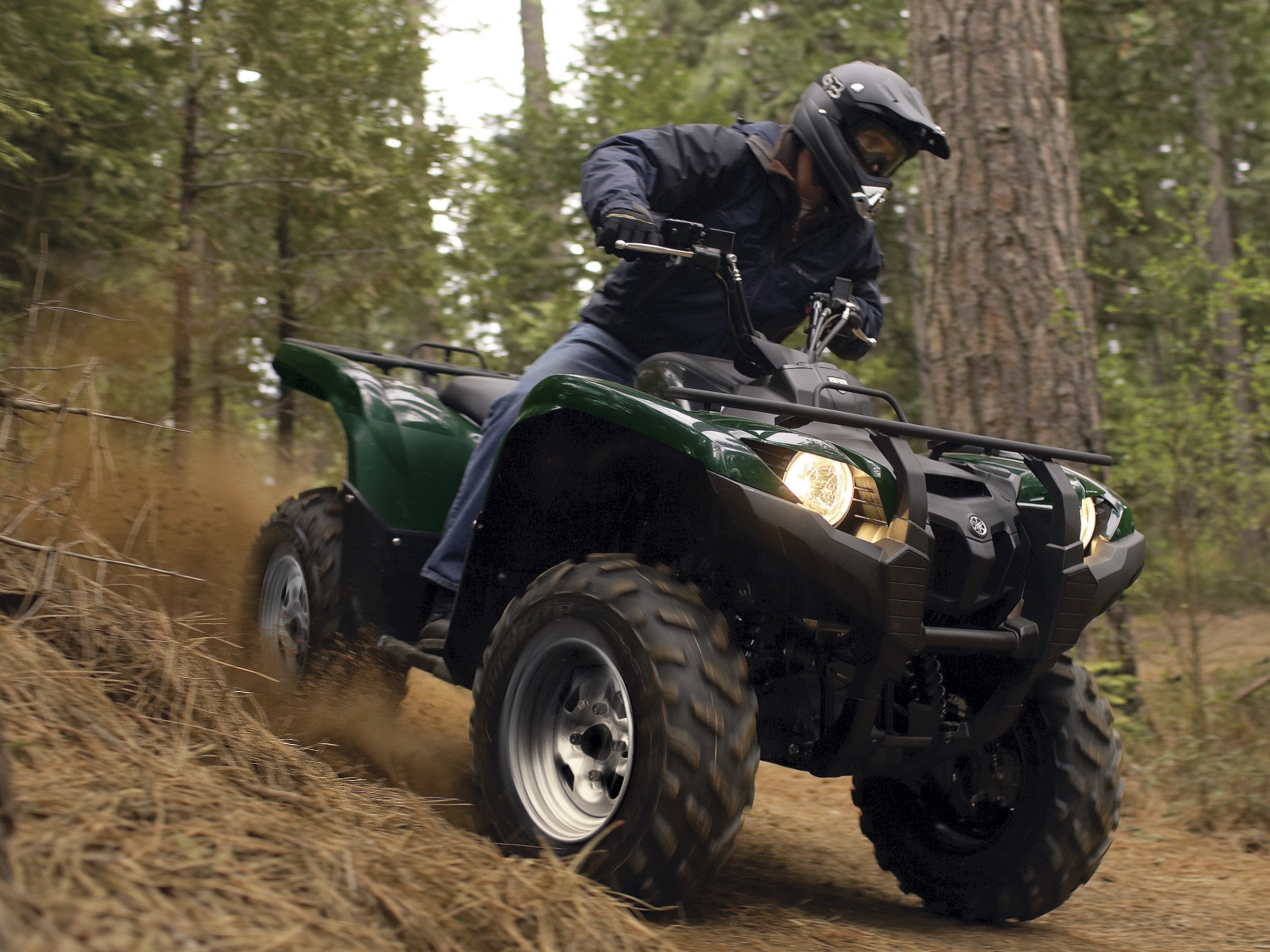 Yamaha Grizzly 700 EPS, Features and technical specifications, Auto, 2670x2000 HD Desktop
