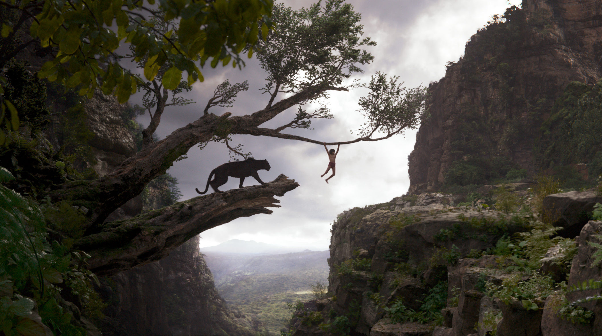 The Jungle Book (Movie), 2016 movie wallpaper, High resolution, Captivating visuals, 2100x1180 HD Desktop