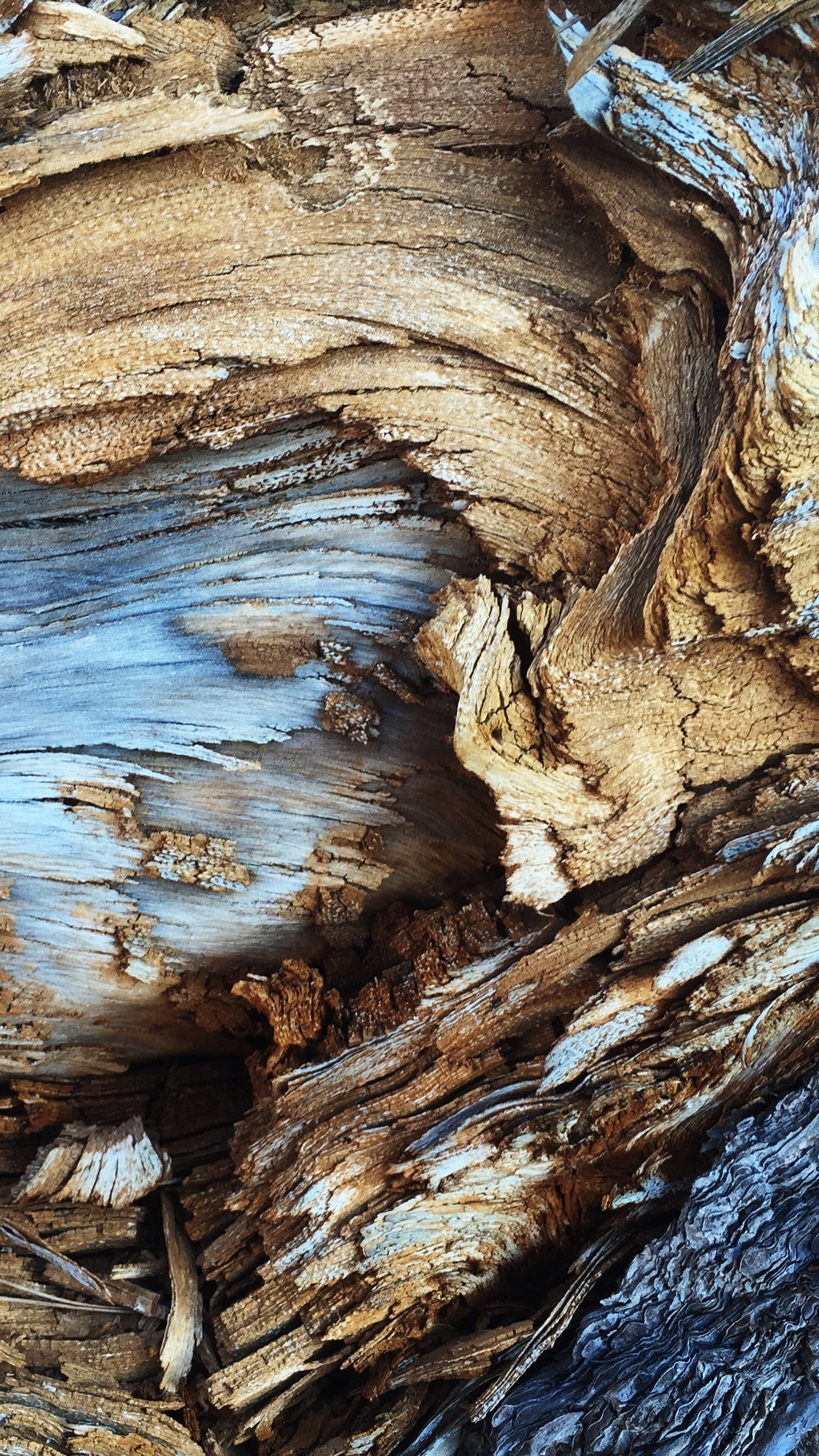 Geology: Tree bark pattern, Rock formation, Natural environment, Sedimentary rocks. 2160x3840 4K Wallpaper.