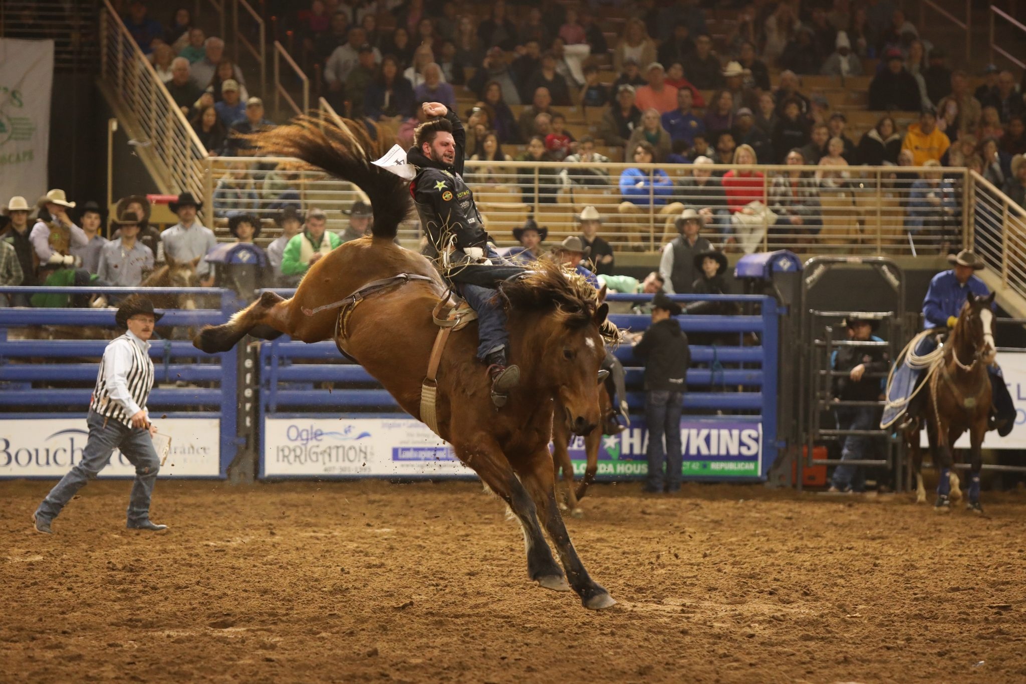Rodeo: Silver Spurs Rodeo, Kissimmee, Mississippi, Equestrian sport. 2050x1370 HD Wallpaper.