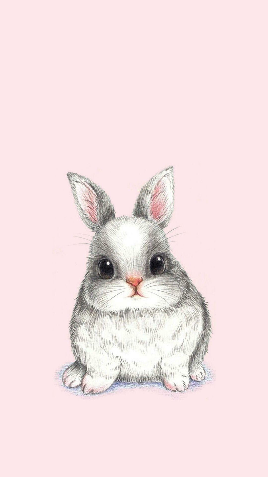 Rabbit: Small, furry mammals usually known for their ears and reproductive capability. 1080x1920 Full HD Wallpaper.