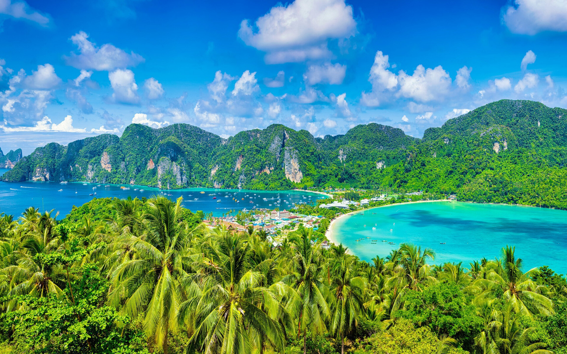 Phi Phi: One of Thailand's most beautiful and exciting islands, Bay, Palm trees, Tropical islands. 1920x1200 HD Wallpaper.