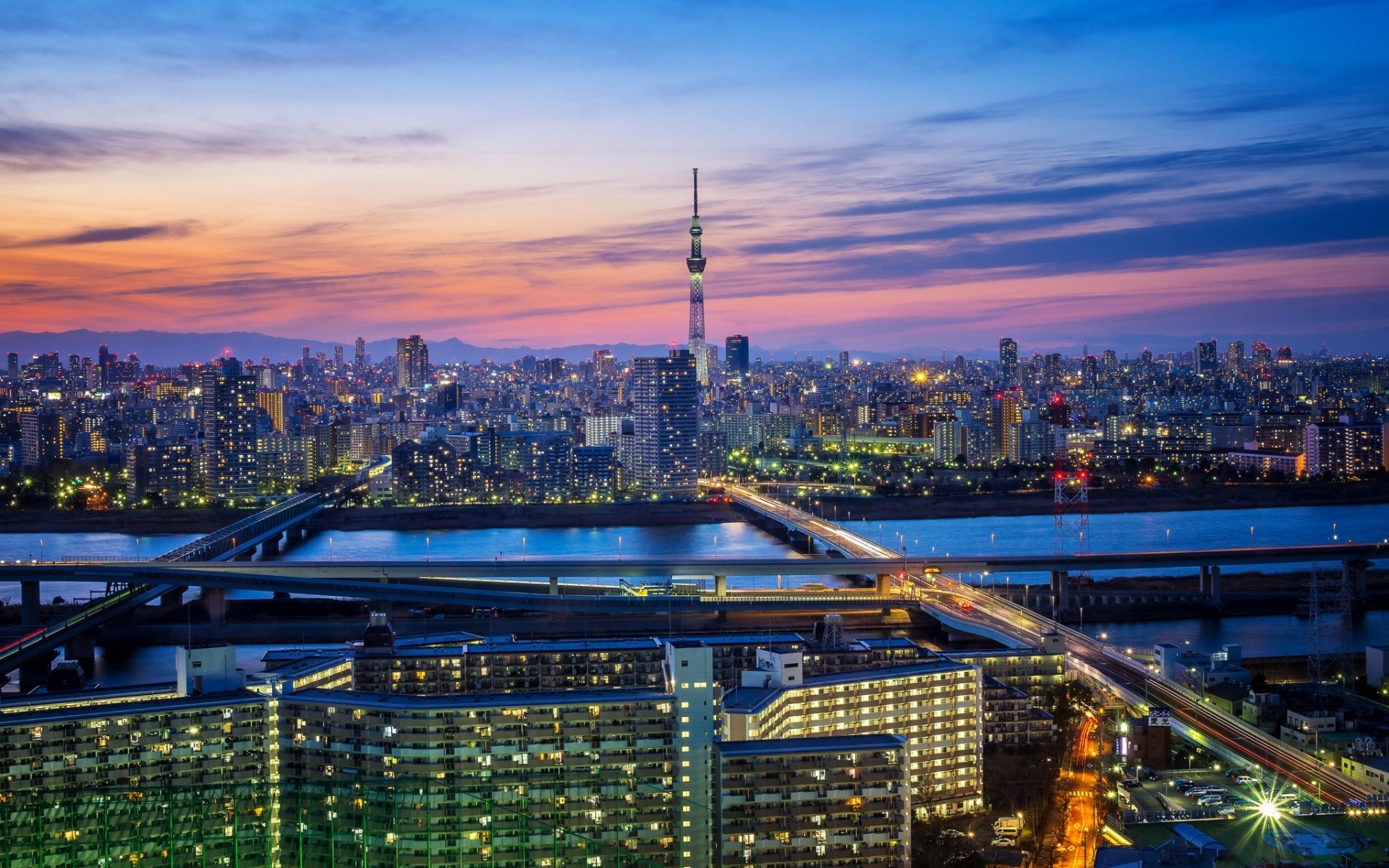 Tokyo skyline, Night lights, Metropolis, Urban cityscape, 1920x1200 HD Desktop