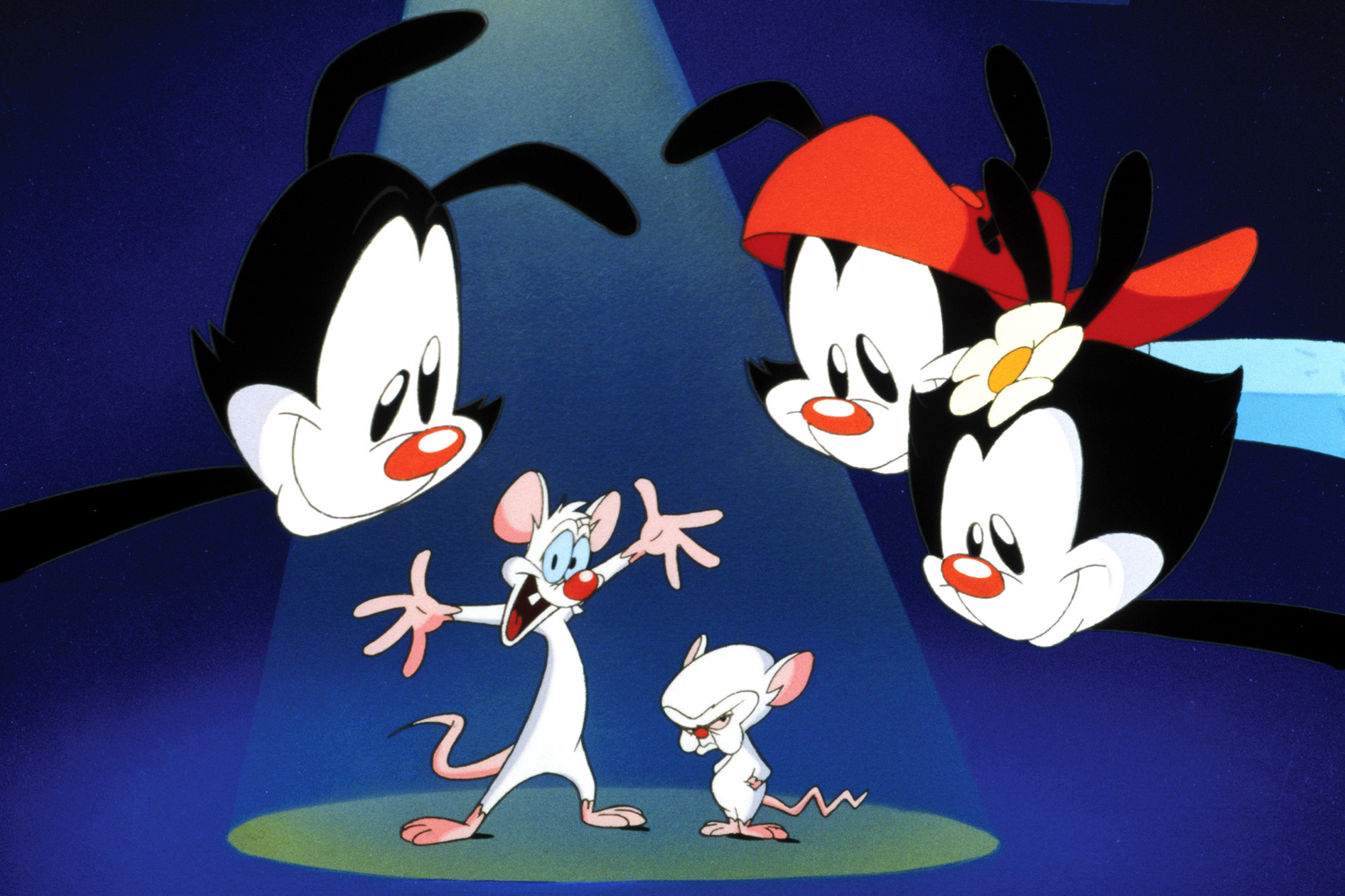 Pinky and the Brain taking over, New York City, Animated adventure, Brain's master plan, 2000x1340 HD Desktop