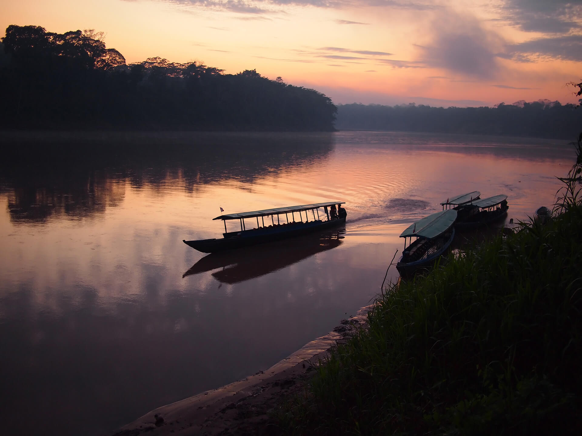 Amazon River, Rainforest facts, Peruvian Amazon, 1920x1440 HD Desktop