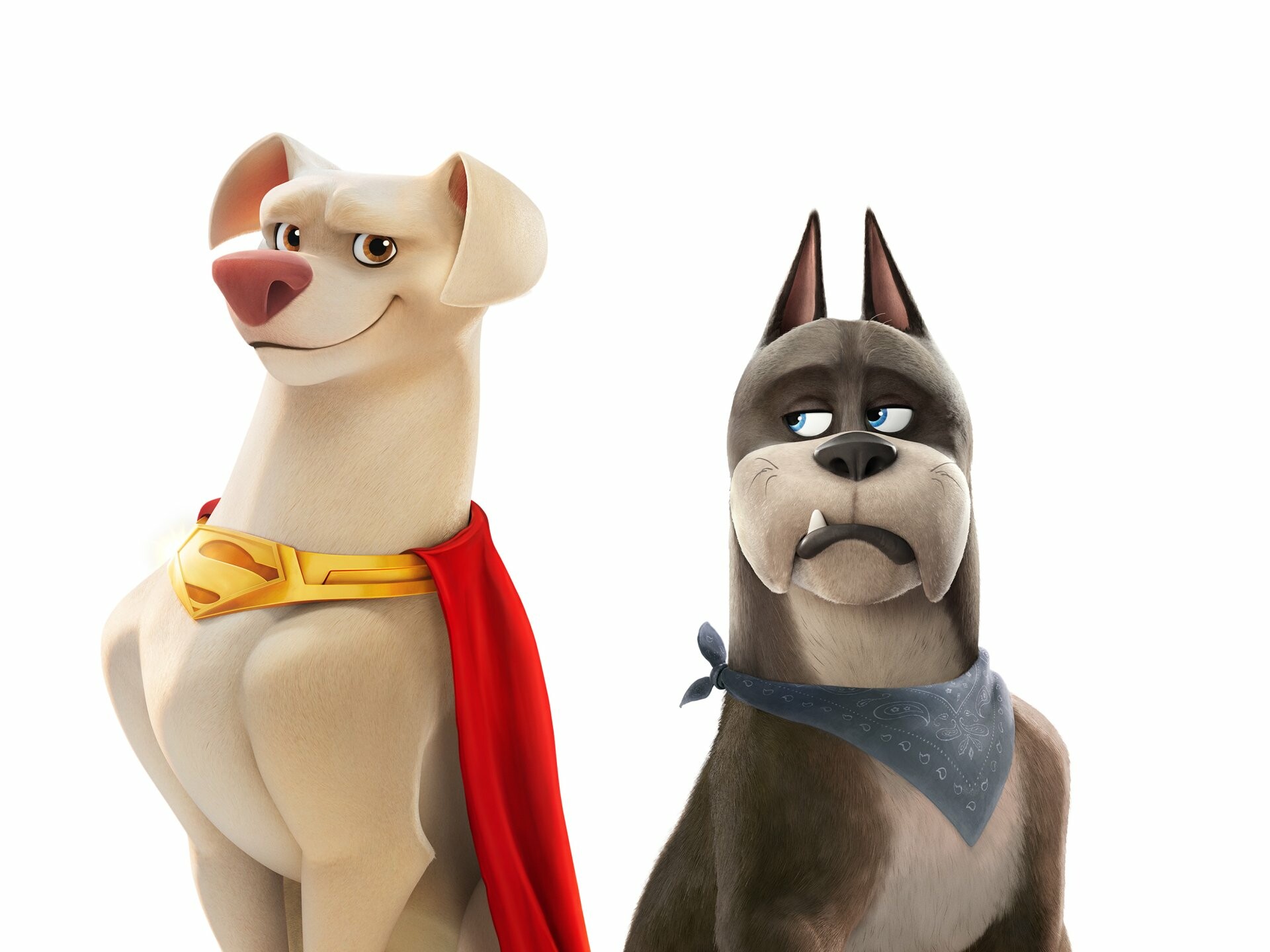 DC League of Super-Pets: Krypto the Superdog and Ace the Bat-Hound, Warner Bros. Pictures. 1920x1440 HD Wallpaper.
