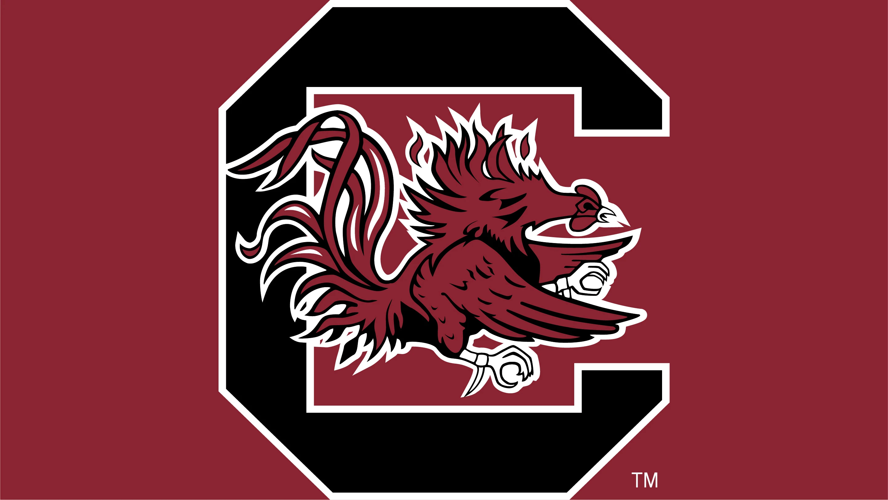 South Carolina Gamecocks, Logo brands, Sports team, University, 2890x1630 HD Desktop