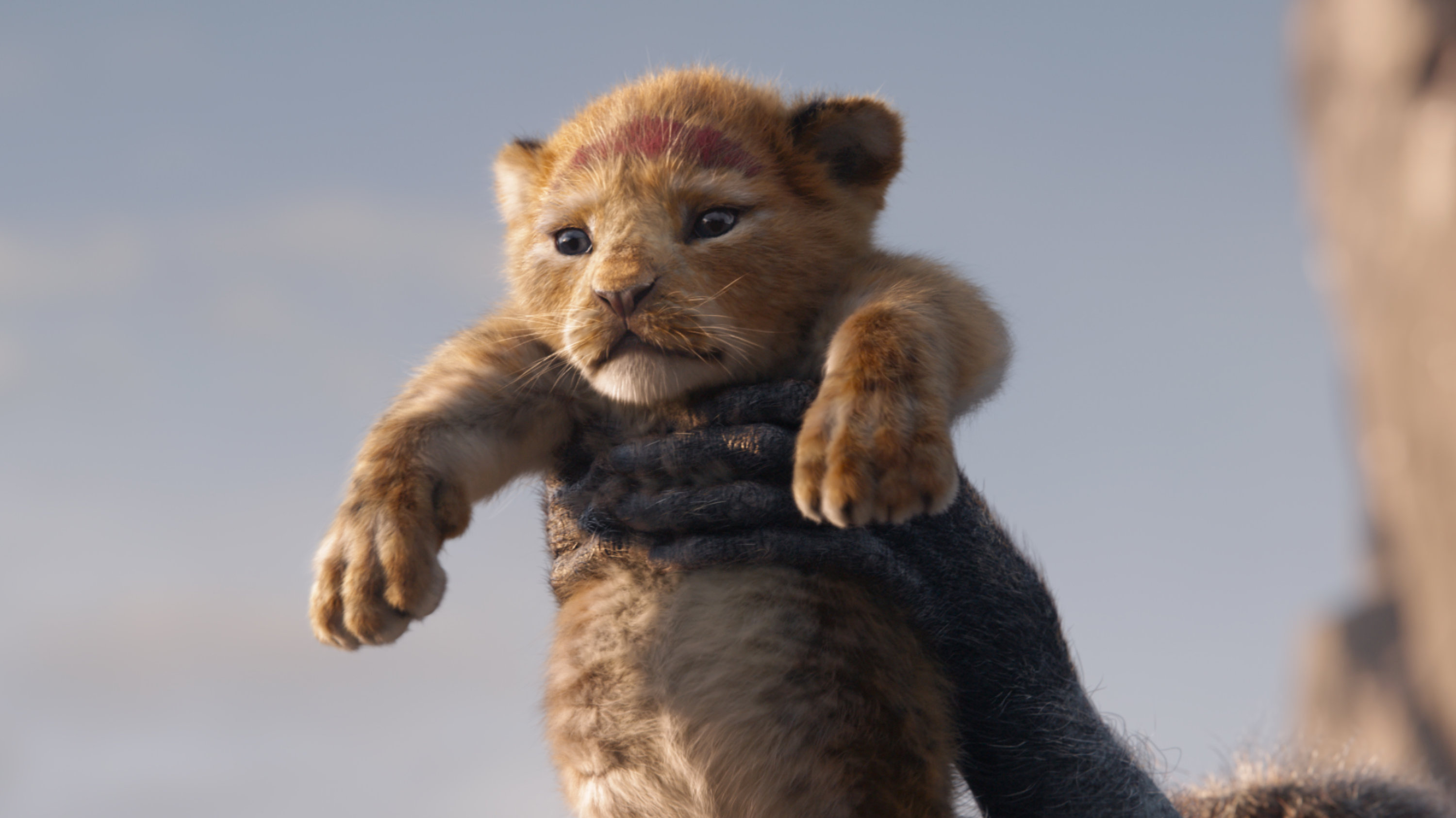 The Lion King 2019 movie, Lifelike Simba, Visual effects magic, Cinematic realism, 3000x1690 HD Desktop