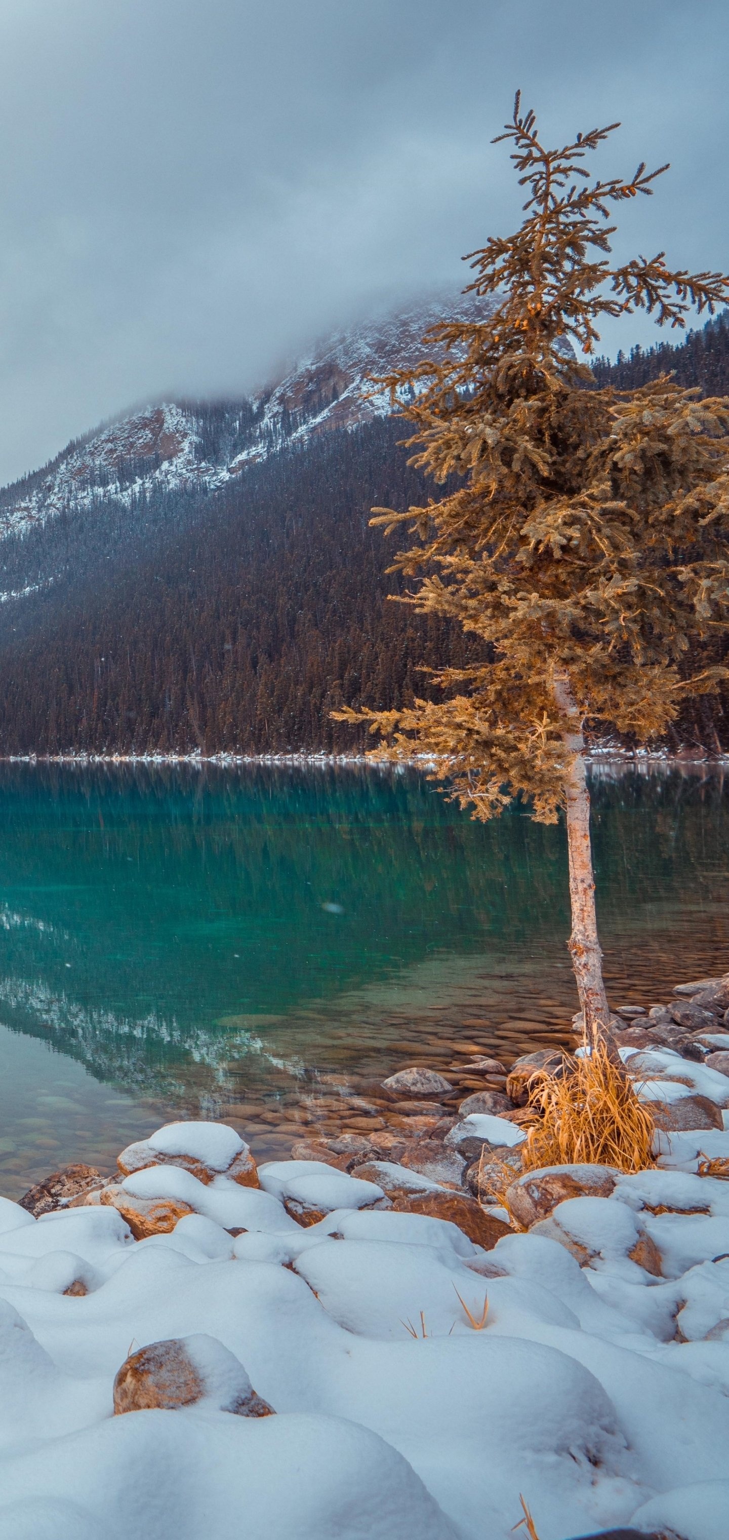 Lake Louise, Earth's beauty, Natural wonders, Captivating scenery, 1440x3040 HD Phone