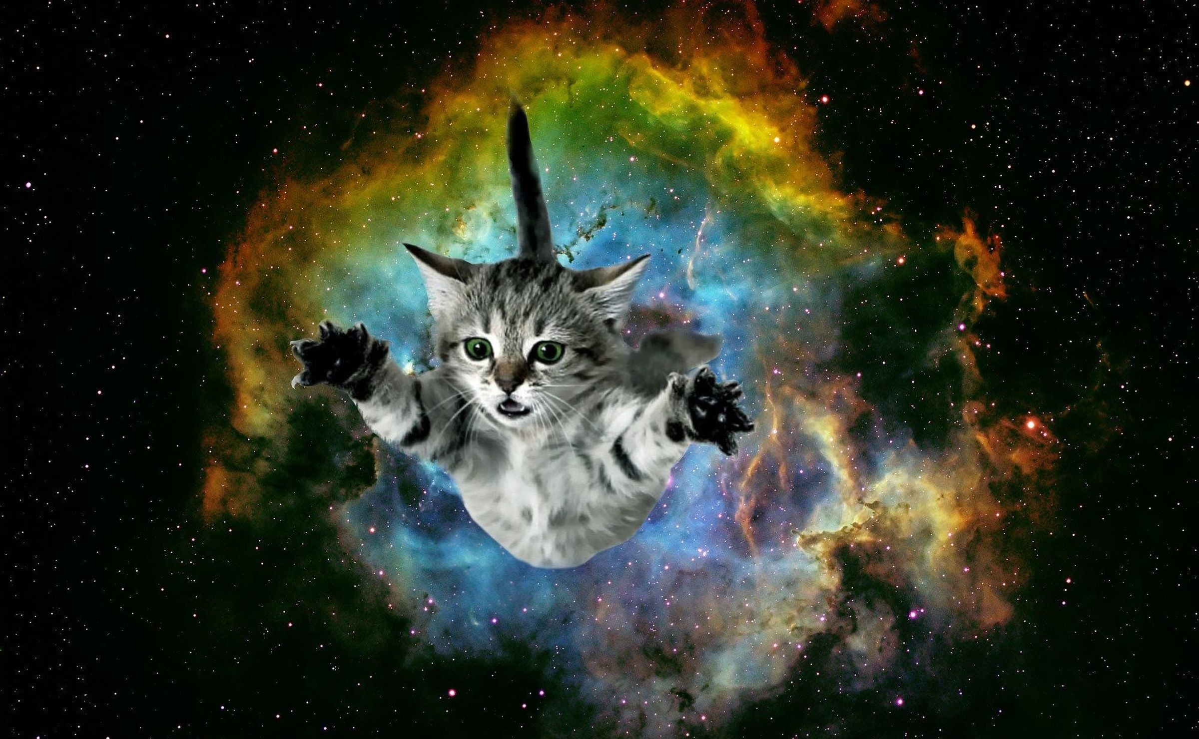 Galaxy Cat, Celestial feline, Infinite space, Nebula backdrop, 2400x1480 HD Desktop