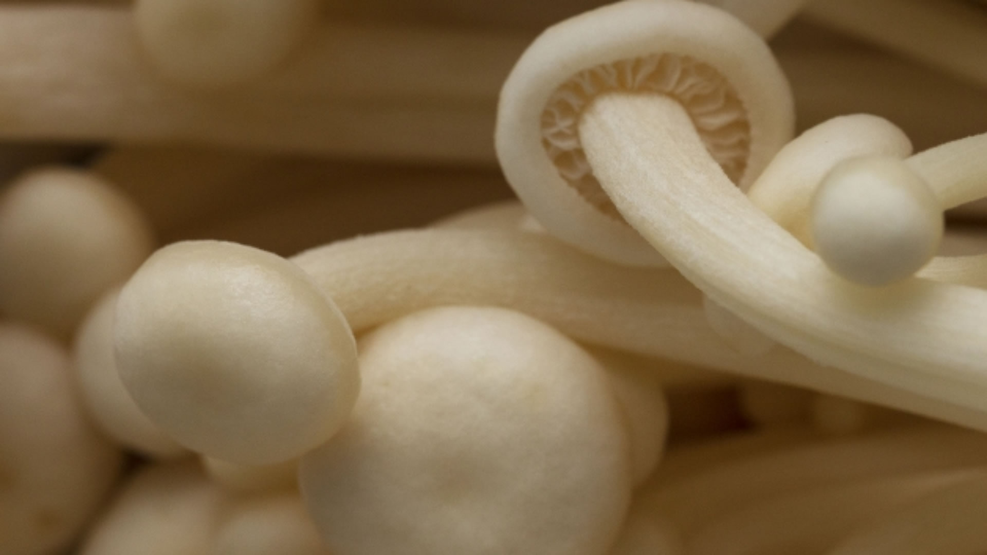 Exotic mushrooms, South shiitake, Oyster mushrooms, Mushroom collection, 1920x1080 Full HD Desktop