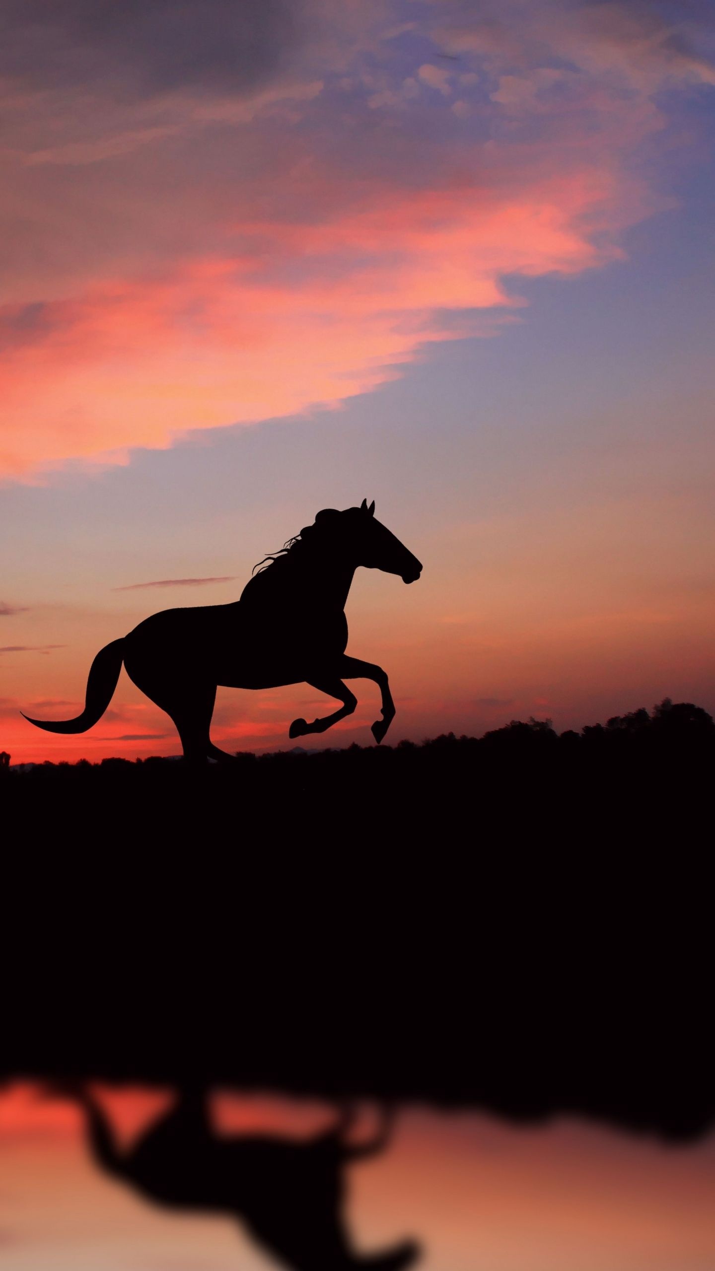 Horse: A large, four-legged animal with hooves, Atmospheric. 1440x2560 HD Wallpaper.