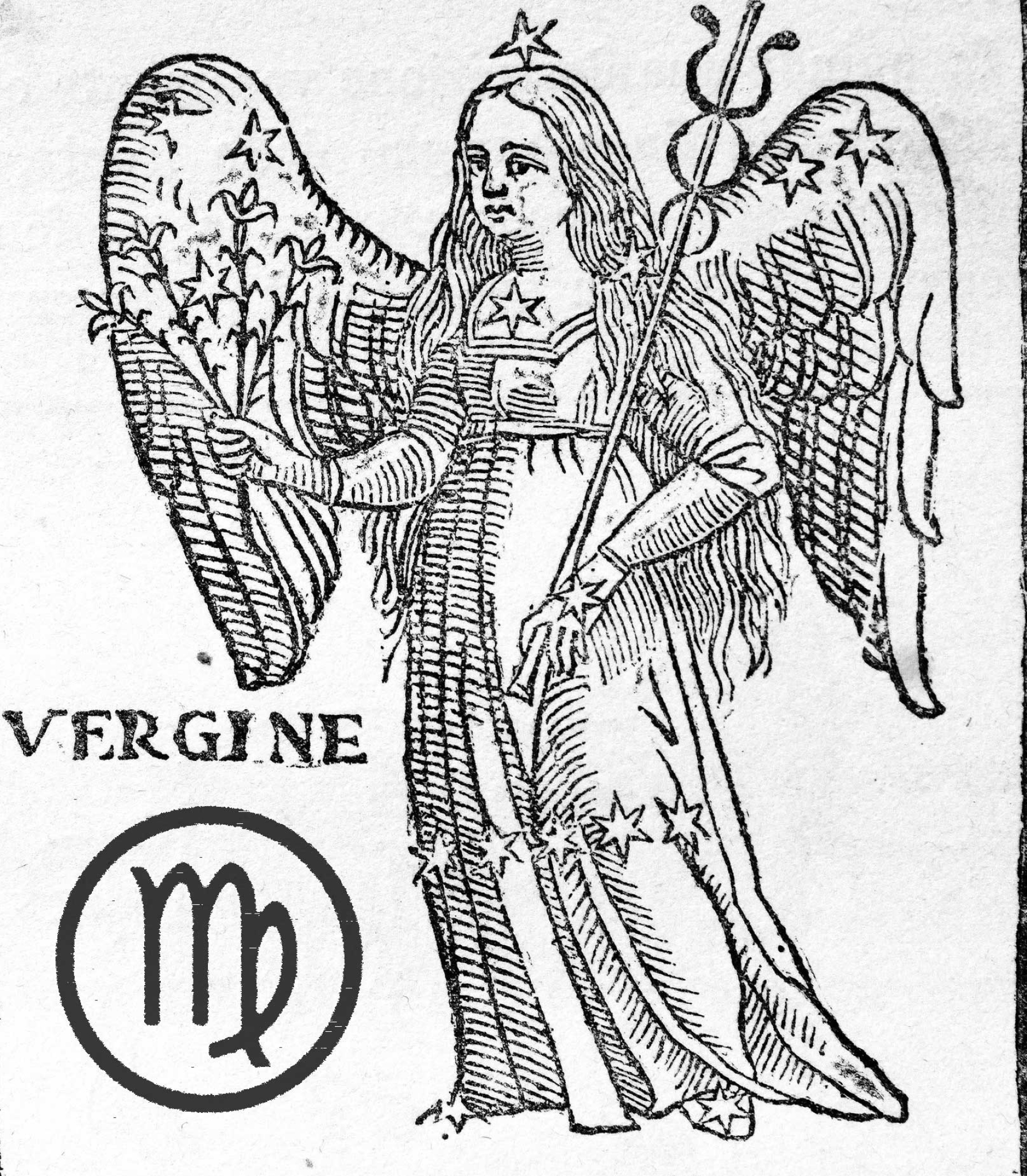 6th astrological sign, German wife's influence, Virgo zodiac, 1790x2050 HD Phone