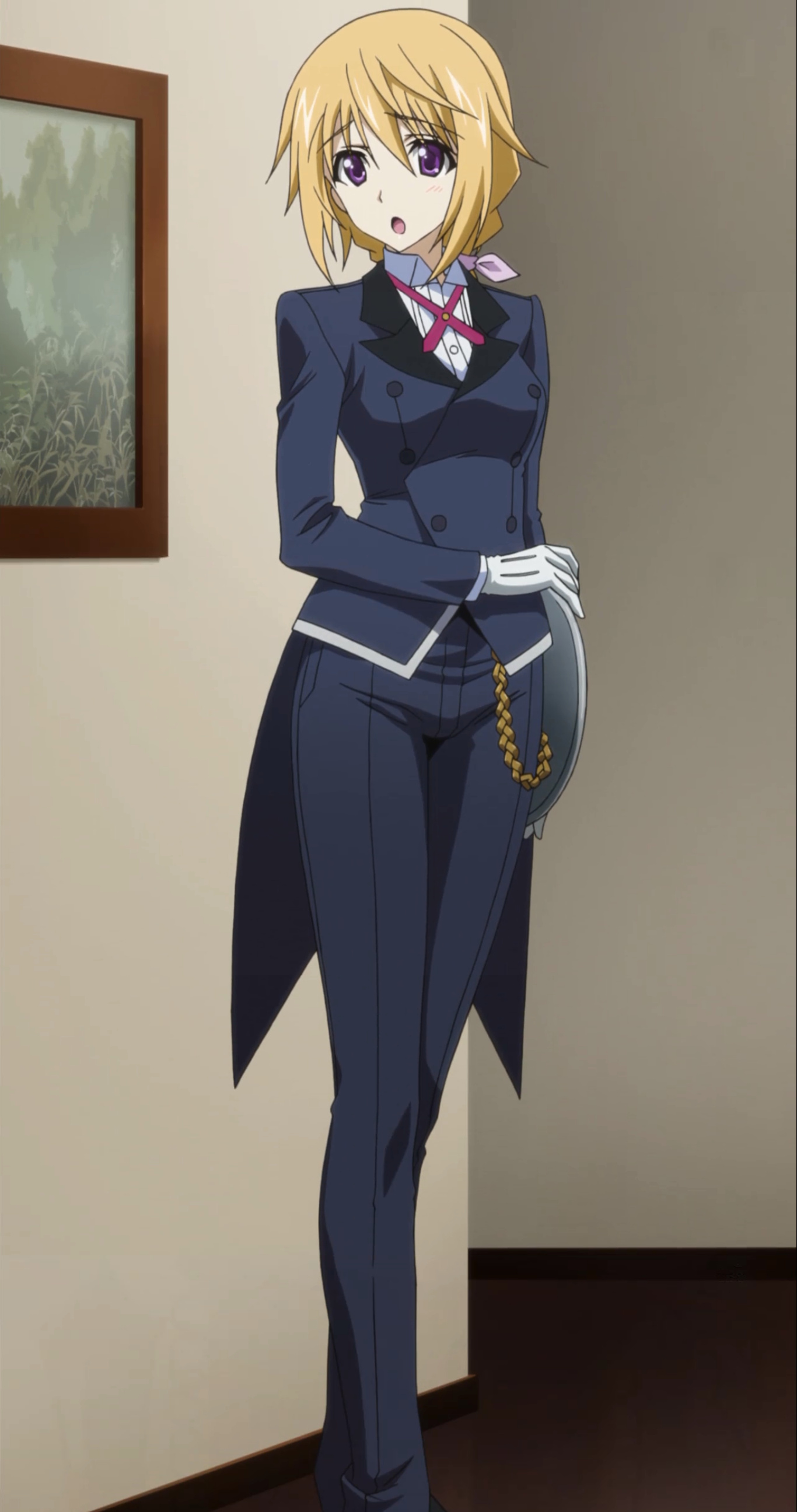 Charlotte (Infinite Stratos), Top female anime characters, 1370x2600 HD Phone