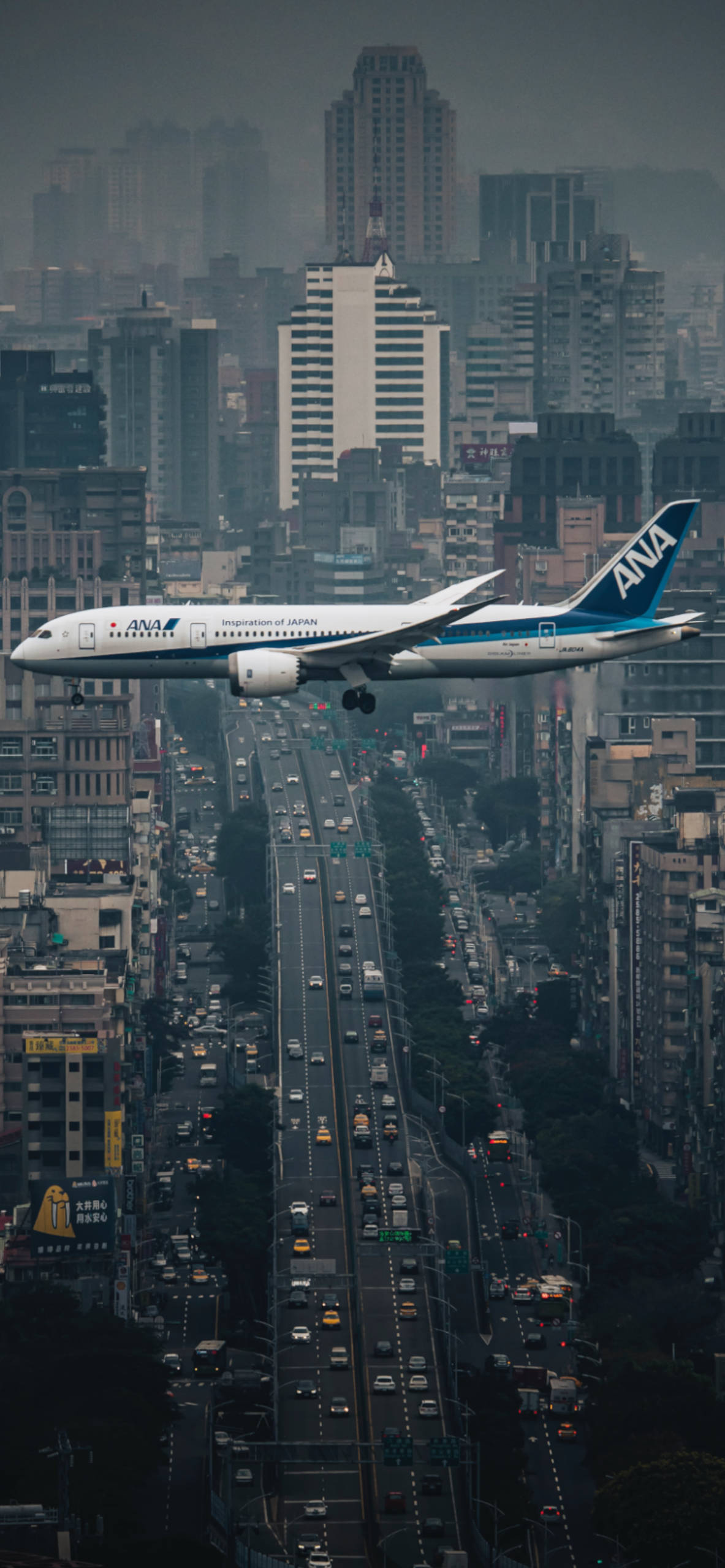 All Nippon Airways, Airplane wallpaper, iPhone compatible, Free download, 1190x2560 HD Phone