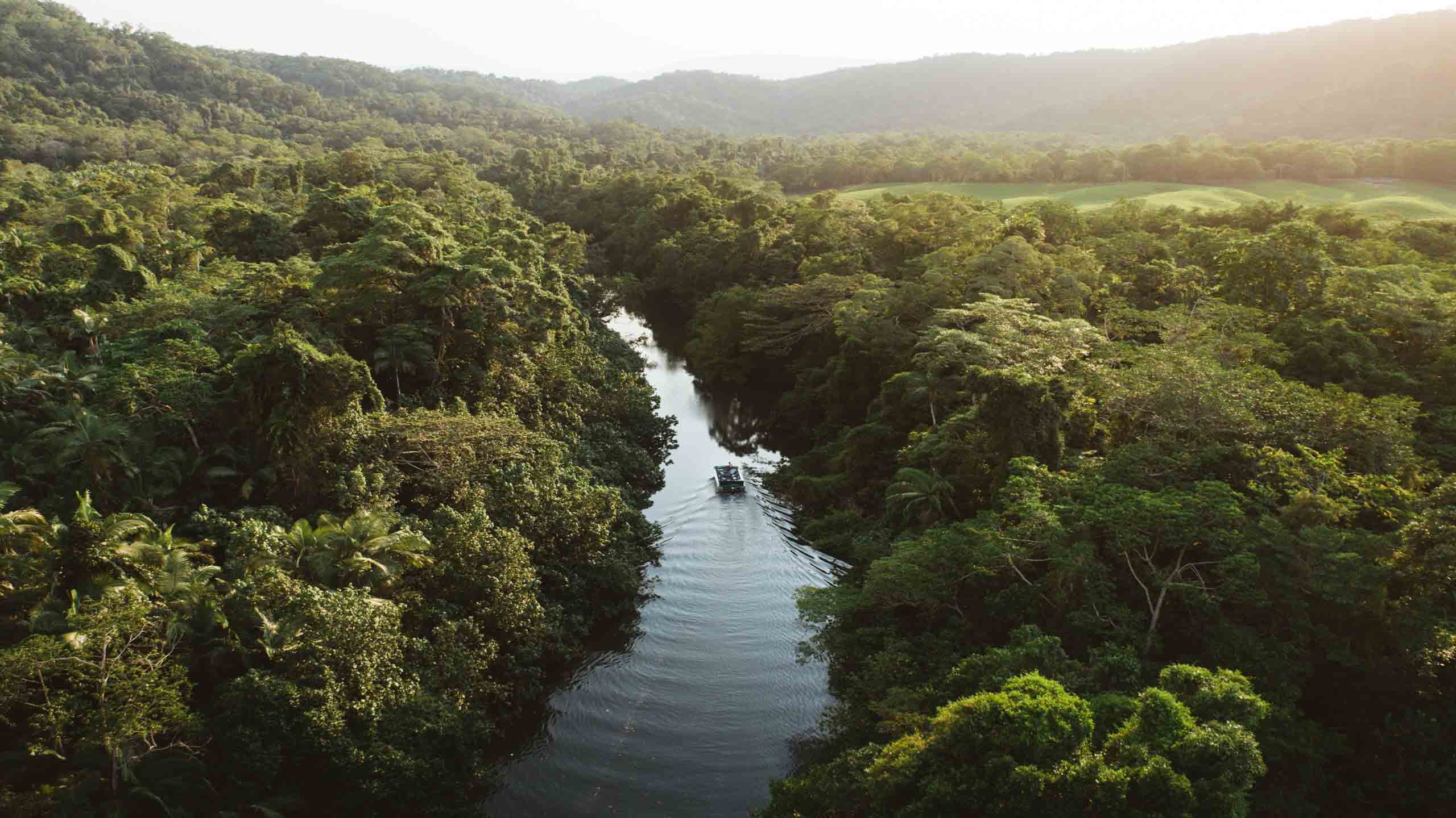 The Daintree River, Daintree Ecolodge, Queensland Accommodation, 2560x1440 HD Desktop
