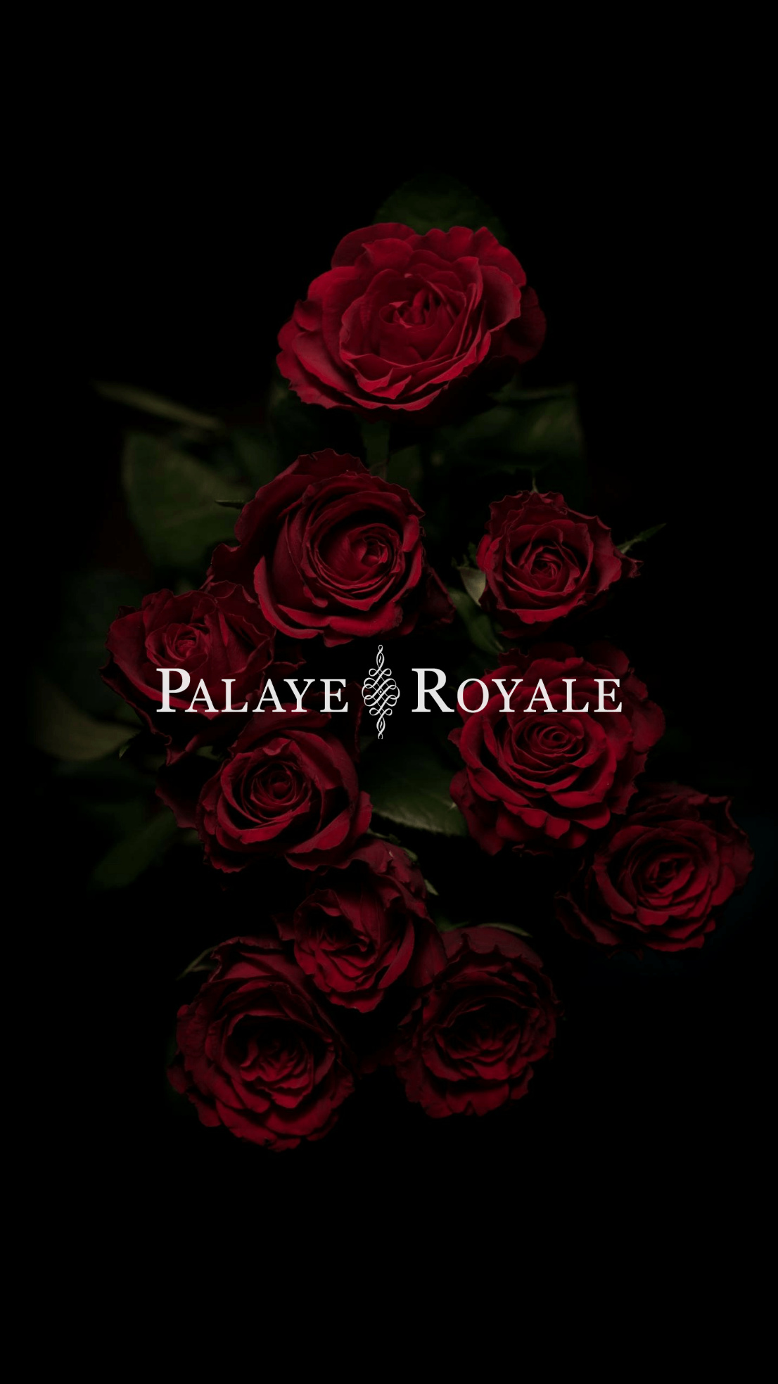 Palaye Royale Band, Palaye Royale wallpapers, Terimuhl, Music, 1110x1970 HD Handy