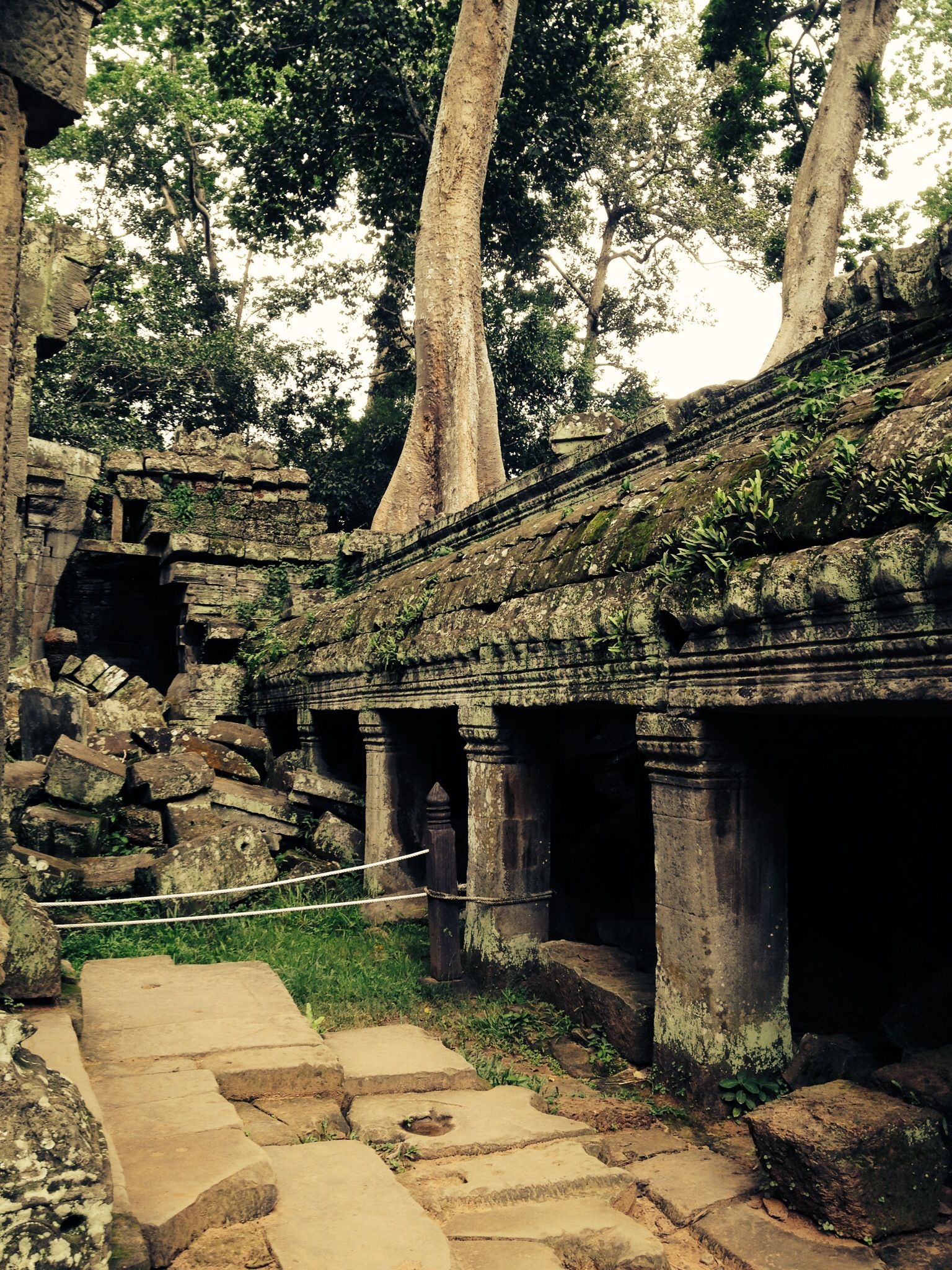 Angkor temple, Enchanting ruins, Cambodian history, Architectural marvel, 1540x2050 HD Handy