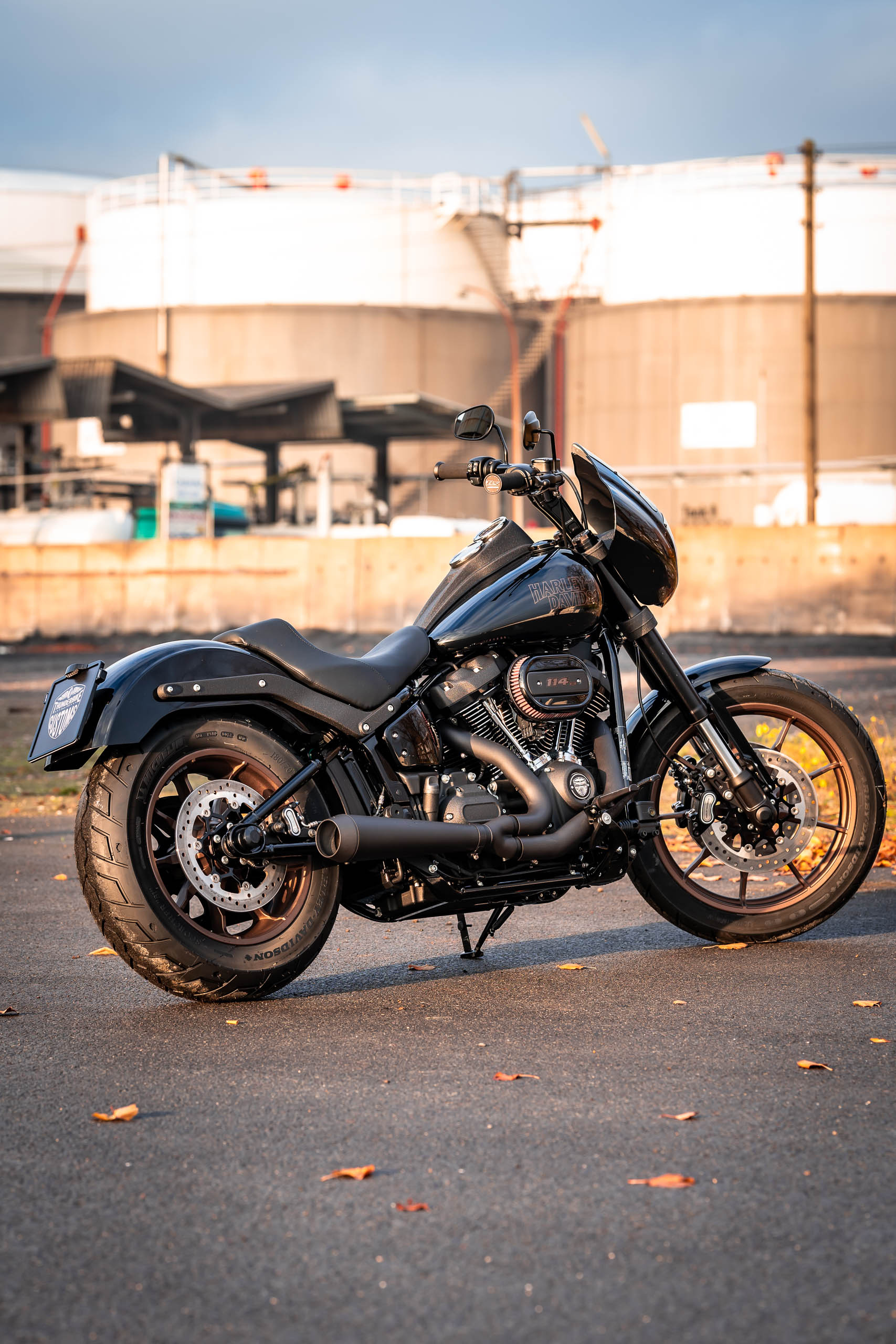 Harley-Davidson Low Rider, Customized thunderbike, American classic, Freedom on wheels, 1710x2560 HD Phone