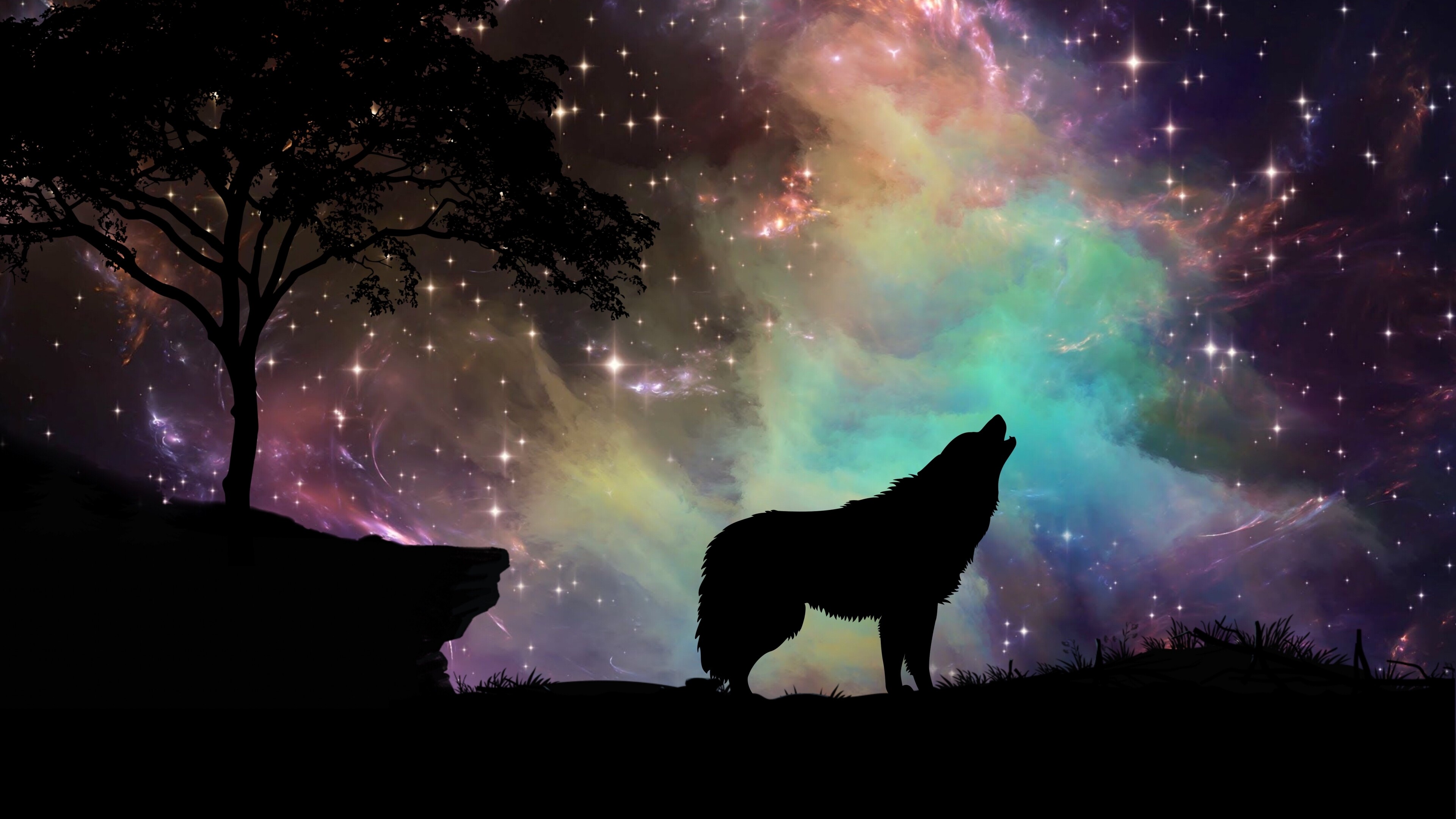 Wolf: The largest extant member of the family Canidae. 3840x2160 4K Background.