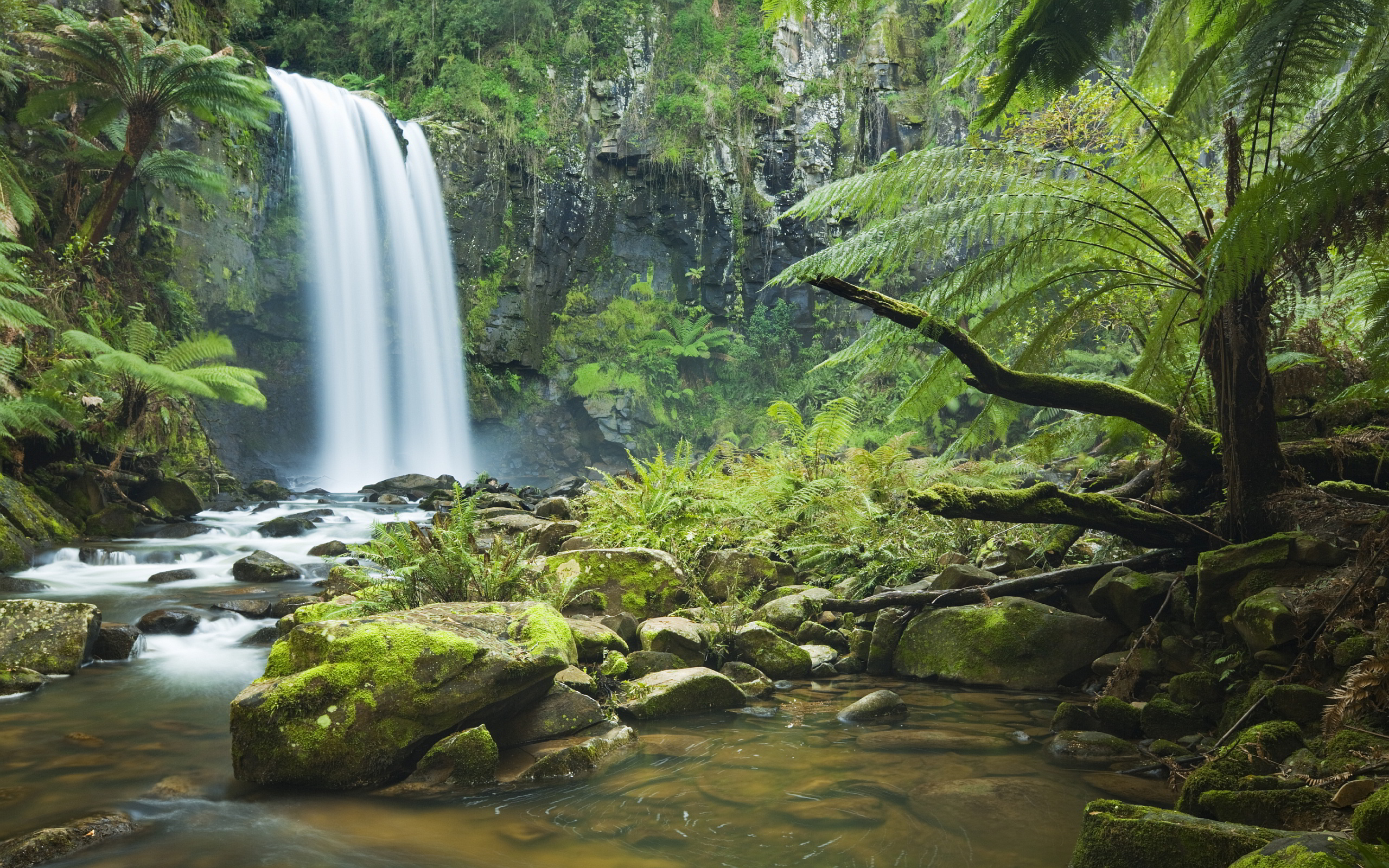 Amazon Rain Forest, Waterfall in rainforest, Serene beauty, Nature's wonder, 2560x1600 HD Desktop