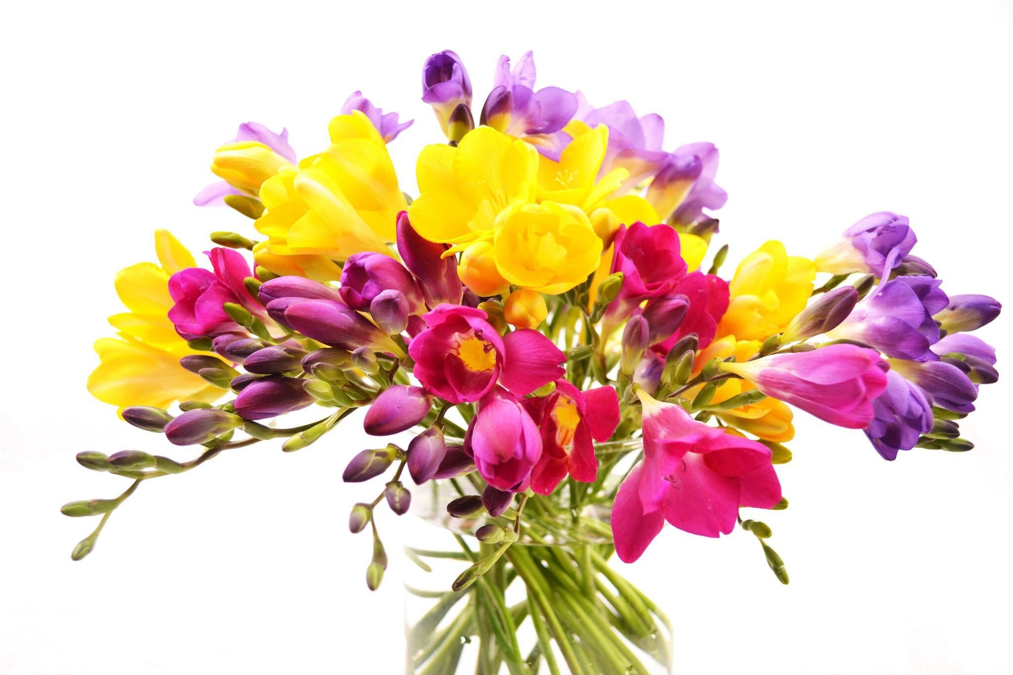 Flower Bouquet: A bunch of cut flowers, Vase, Floral design. 2050x1370 HD Wallpaper.