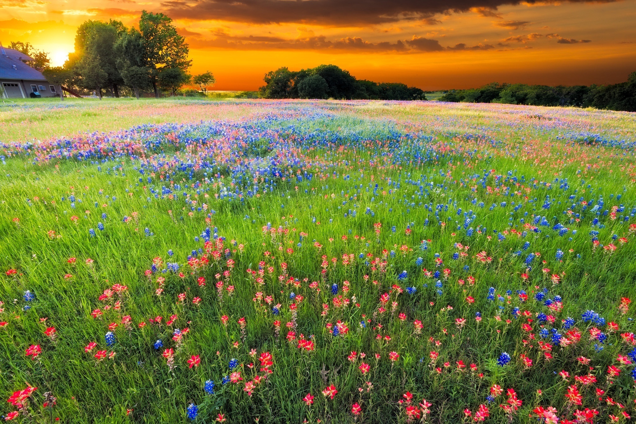 Malerische Wiese im texanischen Hill Country, 2050x1370 HD Desktop