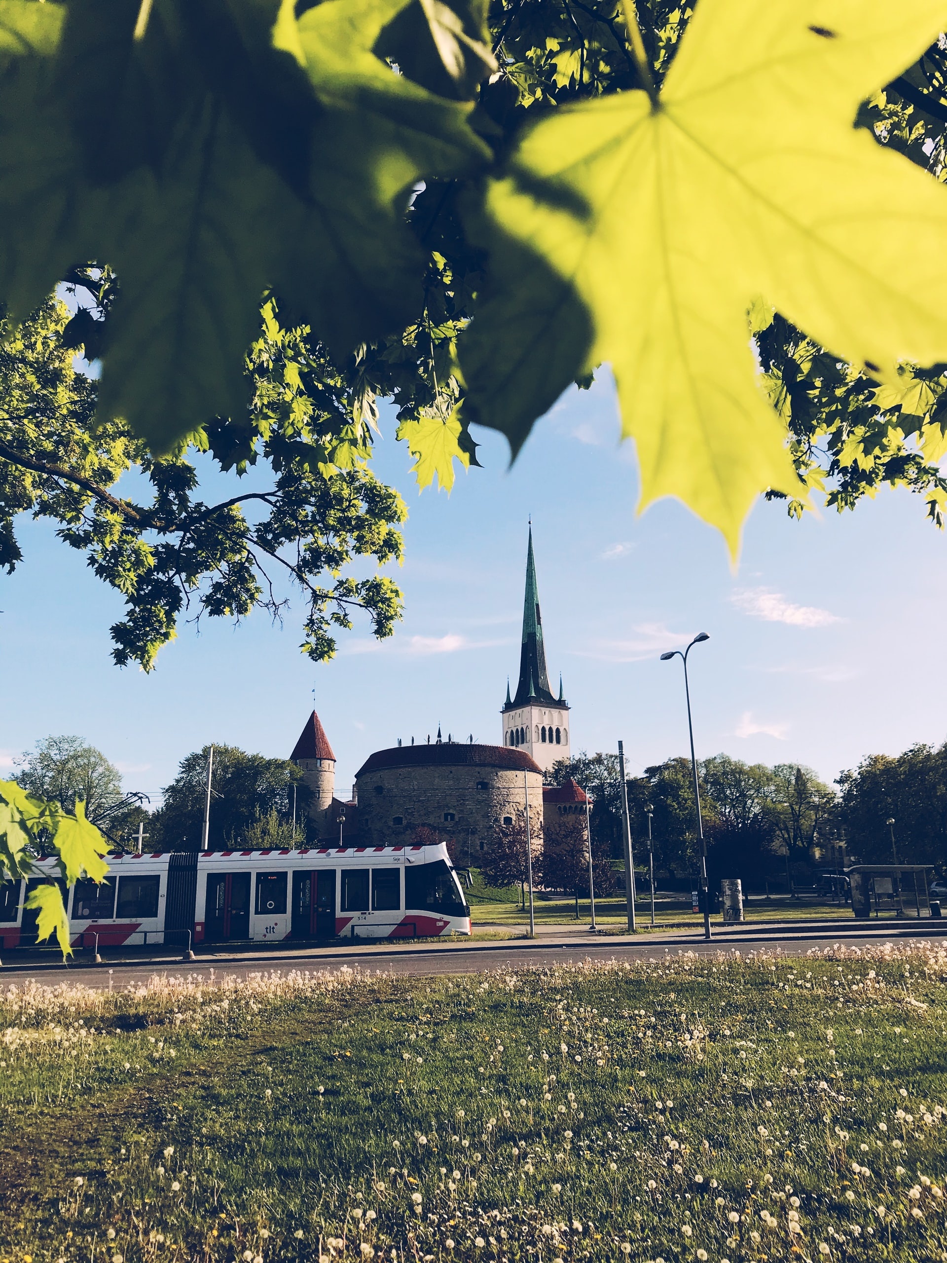 Tallinn, Estonia, Best areas to stay, Exploring the city, 1920x2560 HD Phone