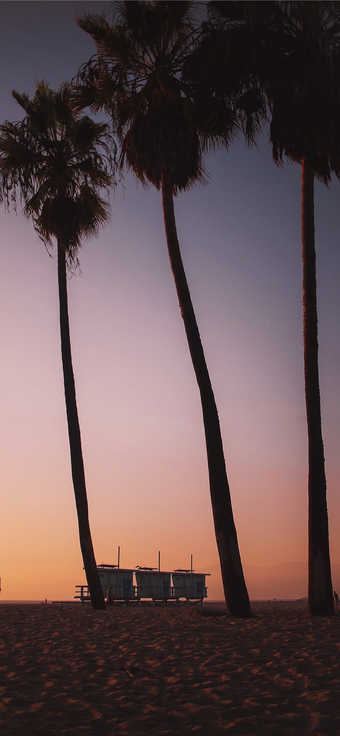 Venice Beach sunset, Vibrant colors, Serene atmosphere, Beachfront escape, 1130x2440 HD Phone