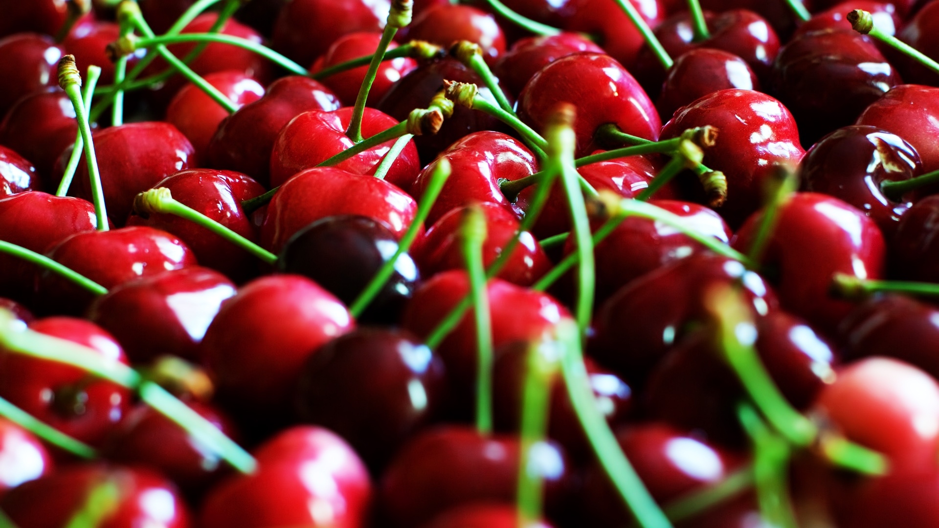 Cherry: A part of the Prunus genus, Sweet-tart stone fruits. 1920x1080 Full HD Background.