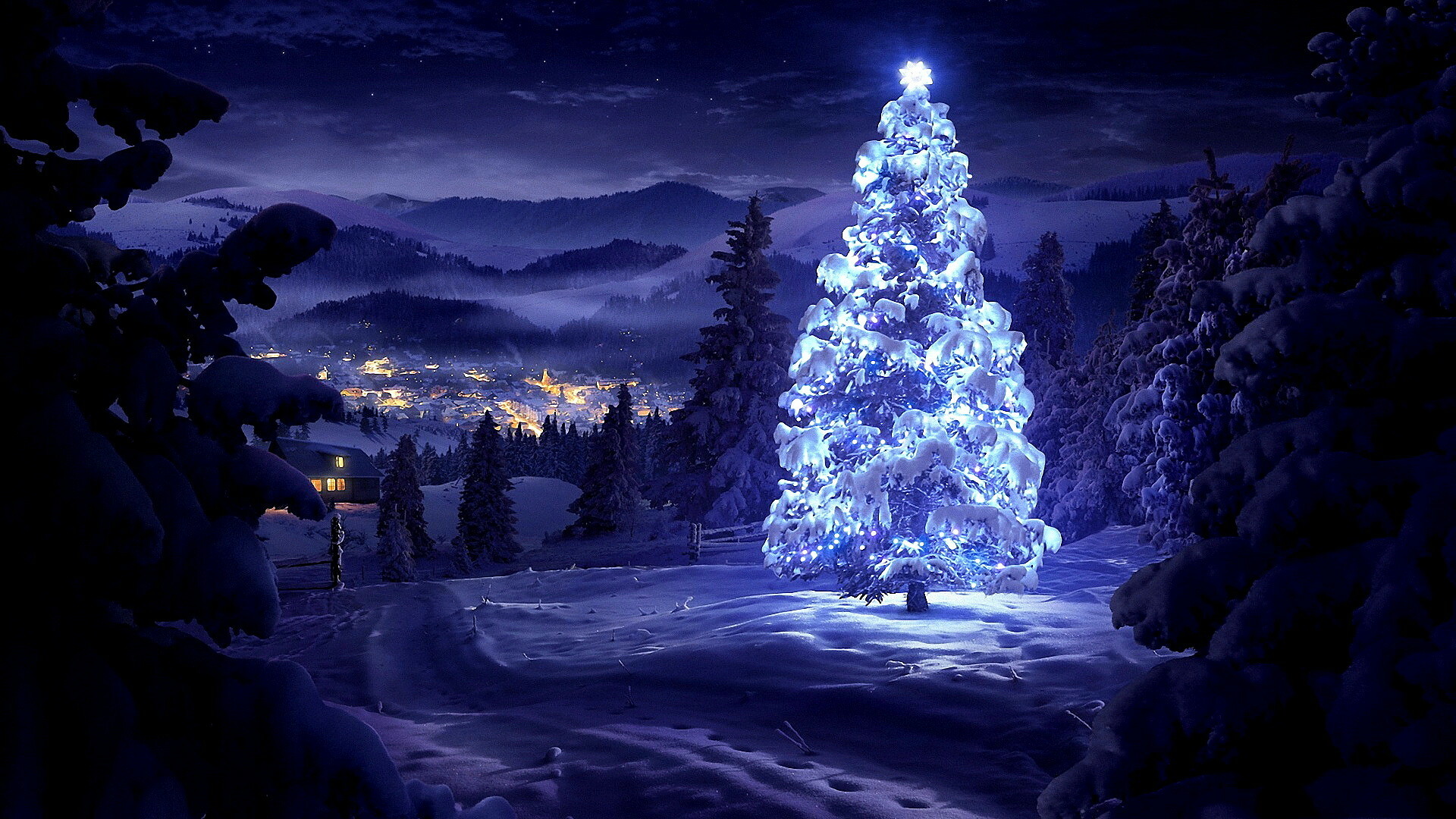 Christmas Tree: Have been sold commercially in the United States since 1850. 1920x1080 Full HD Background.