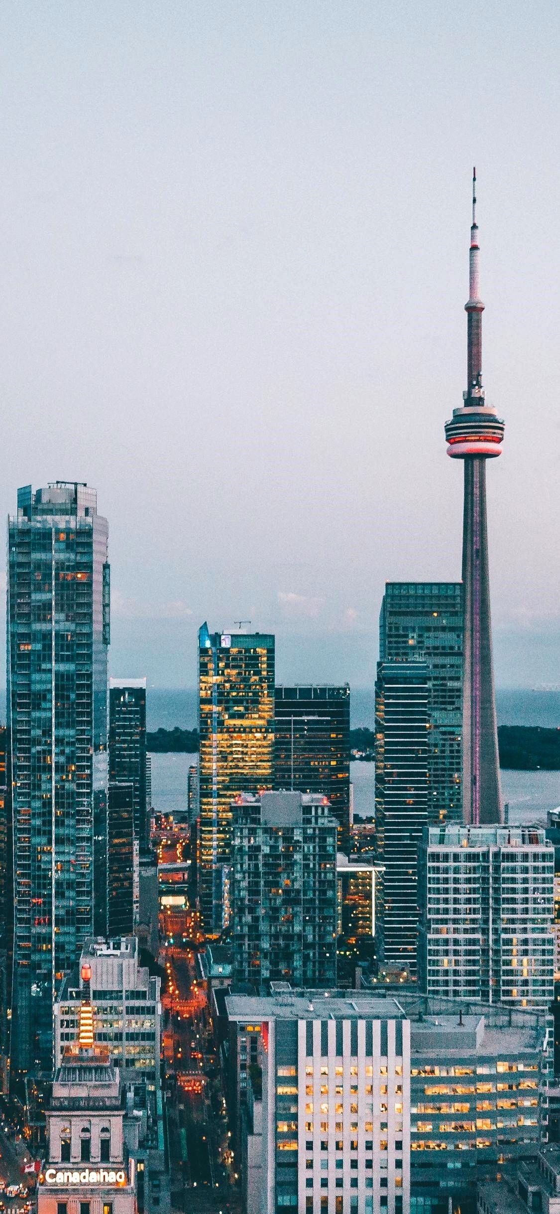 Toronto Skyline, Travels, Canada wallpaper, iPhone gallery, 1130x2440 HD Handy