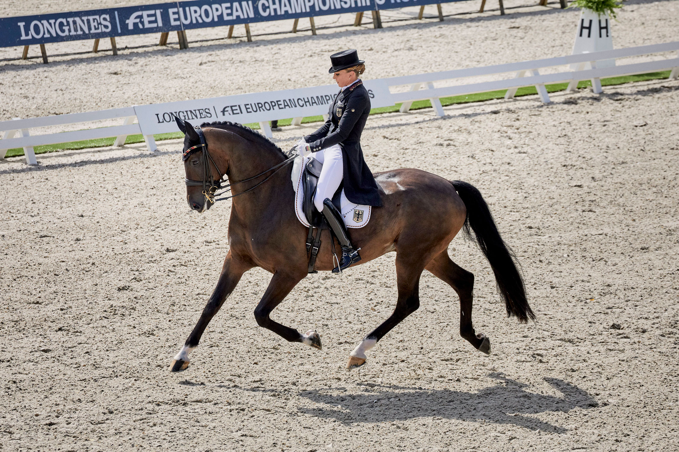 Dressage: Freestyle, Dorothee Schneider and Showtime Trot at Longines FEI Jumping European Championships, 2019. 2300x1540 HD Background.