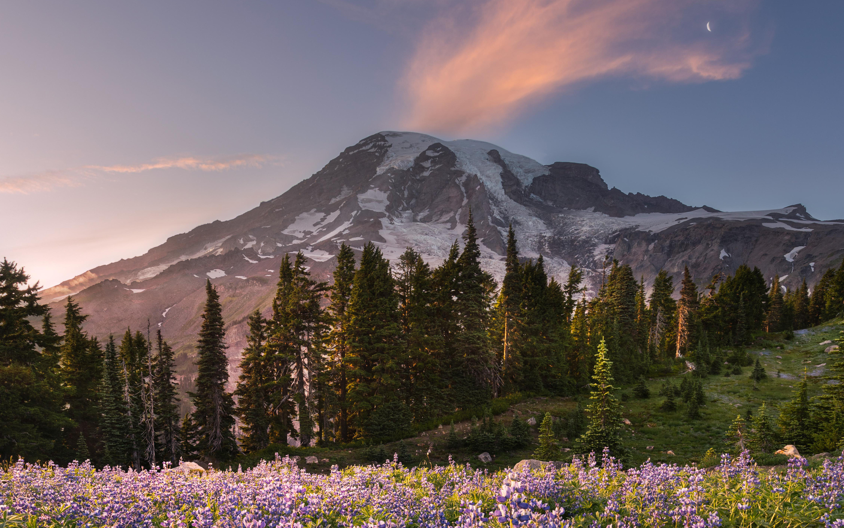 Mount Rainier National Park, MacBook Pro Retina, Captivating Images, Nature's Splendor, 2880x1800 HD Desktop