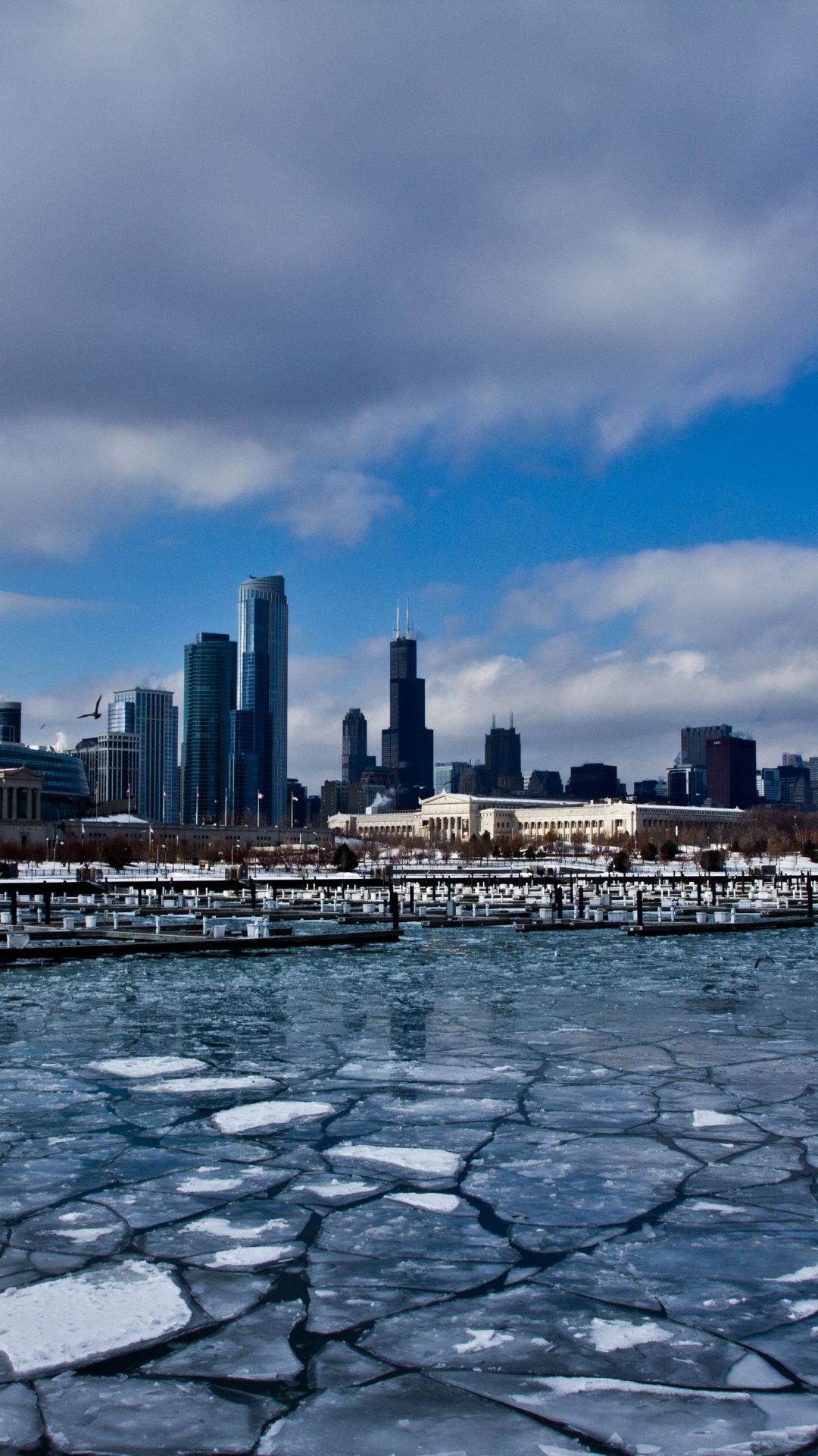 Chicago winter, Skyscrapers in ice, Urban architecture, Serene cityscape, 1080x1920 Full HD Phone