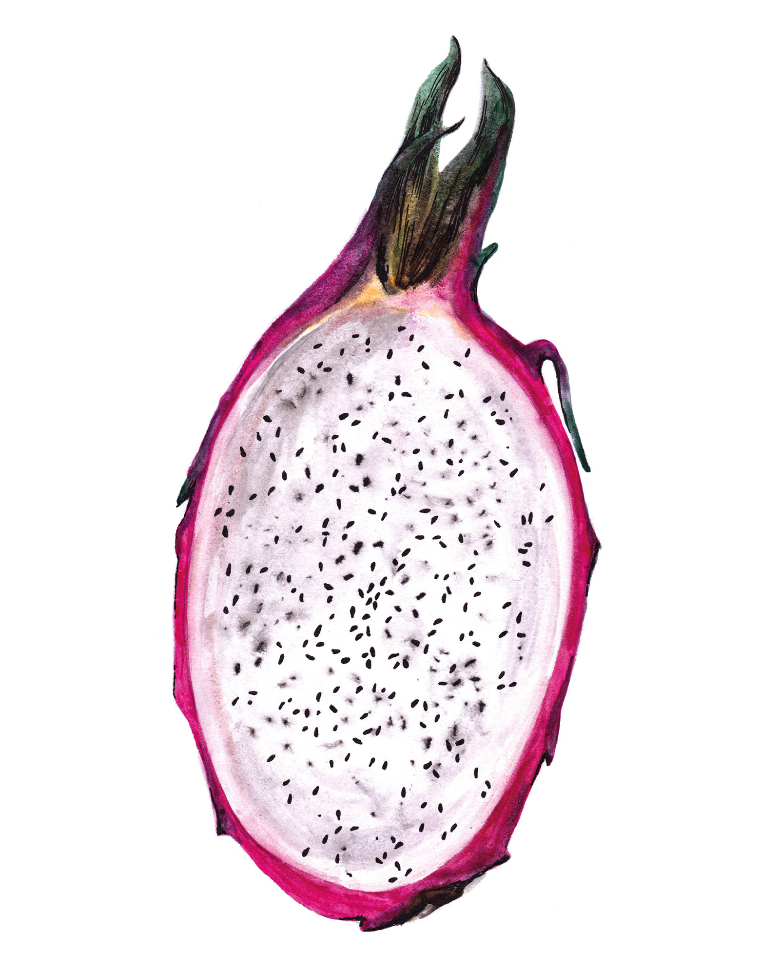 Dragon Fruit: Rich in fiber and health protective antioxidants. 1600x2000 HD Background.
