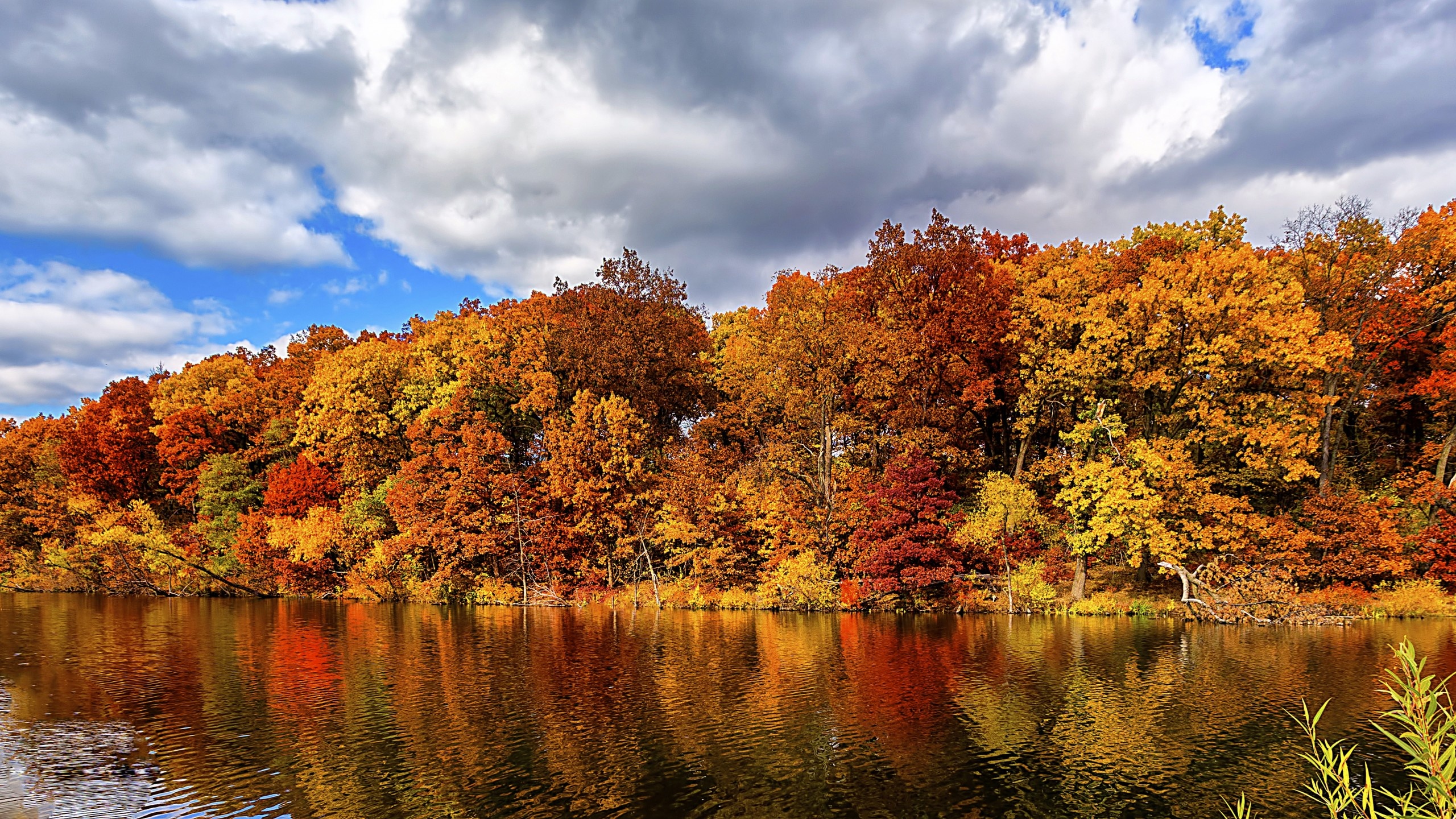 Autumn forest lake, Nature wallpaper, Landscape photography, Fall scenery, 2560x1440 HD Desktop