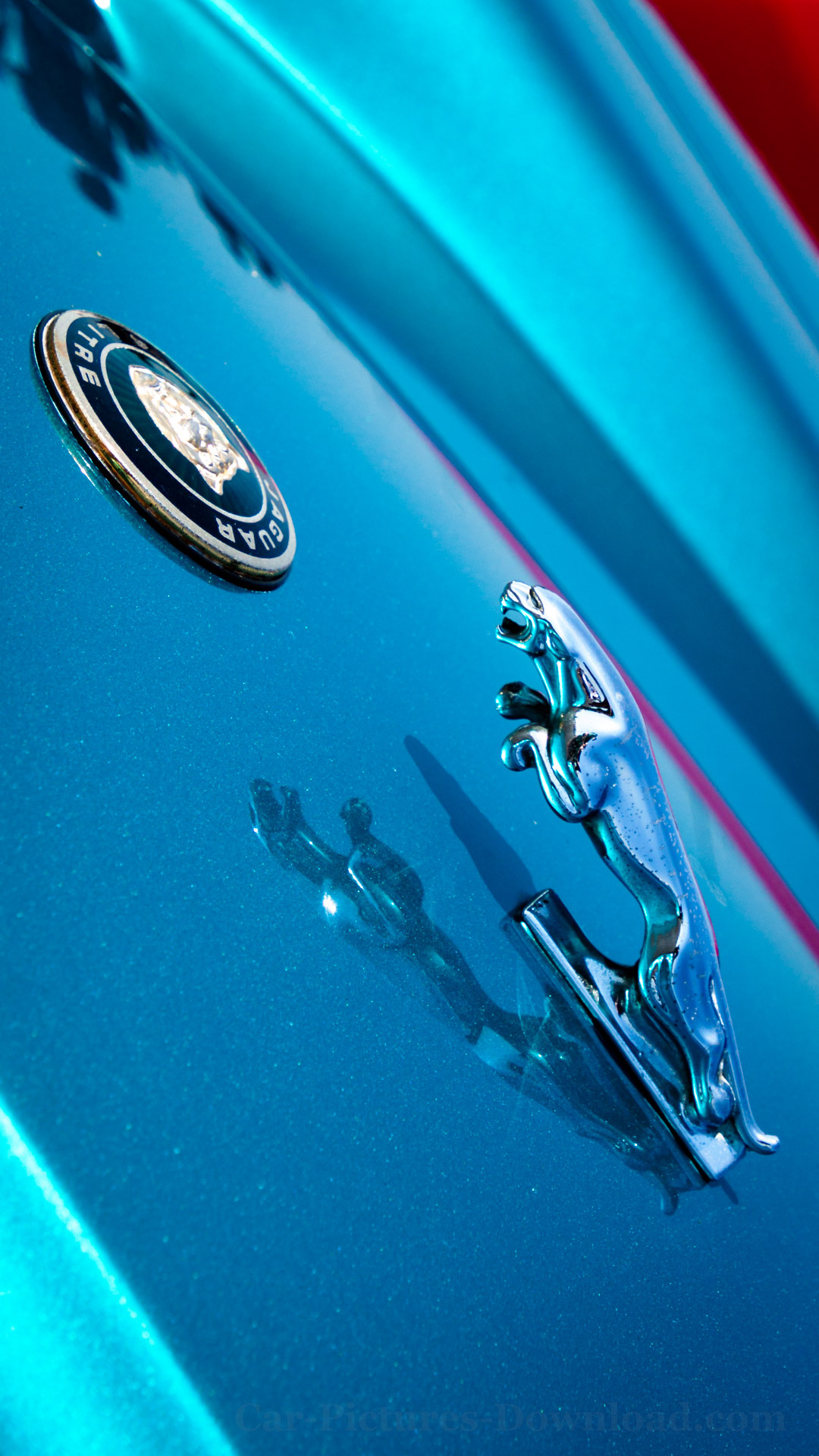 Jaguar Logo, Exquisite car, High-quality wallpaper, Automotive beauty, 1080x1920 Full HD Phone