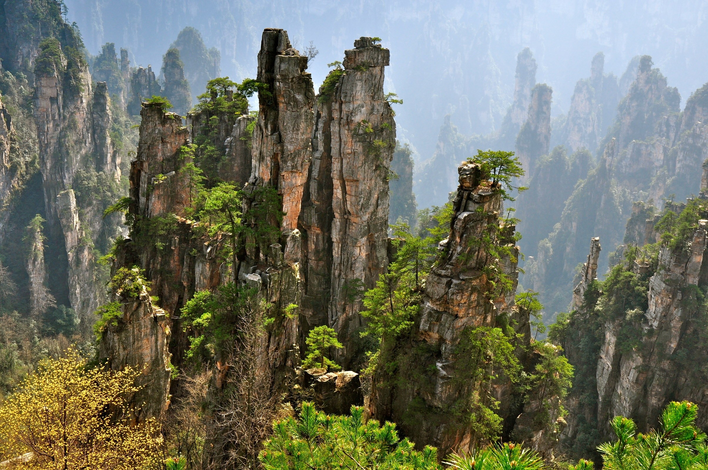 Zhangjiajie National Forest Park, Nature's formation, Valley wilderness, Jungle adventure, 2410x1600 HD Desktop