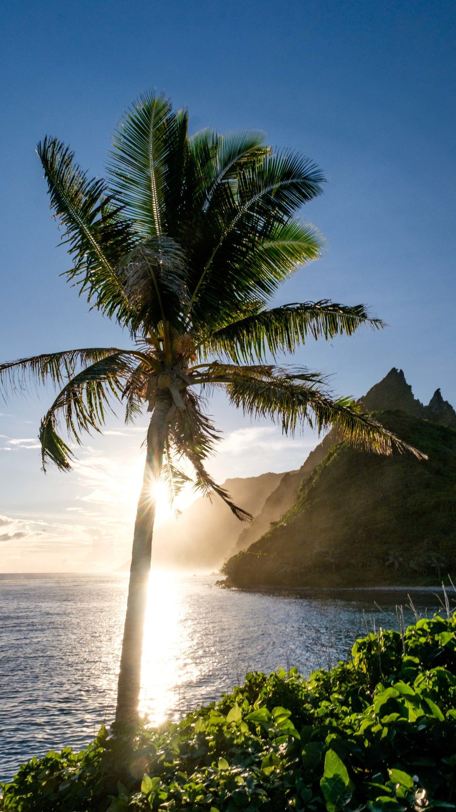 Samoan landscapes, Nature's wonders, Beachside serenity, Vibrant culture, 1500x2670 HD Handy