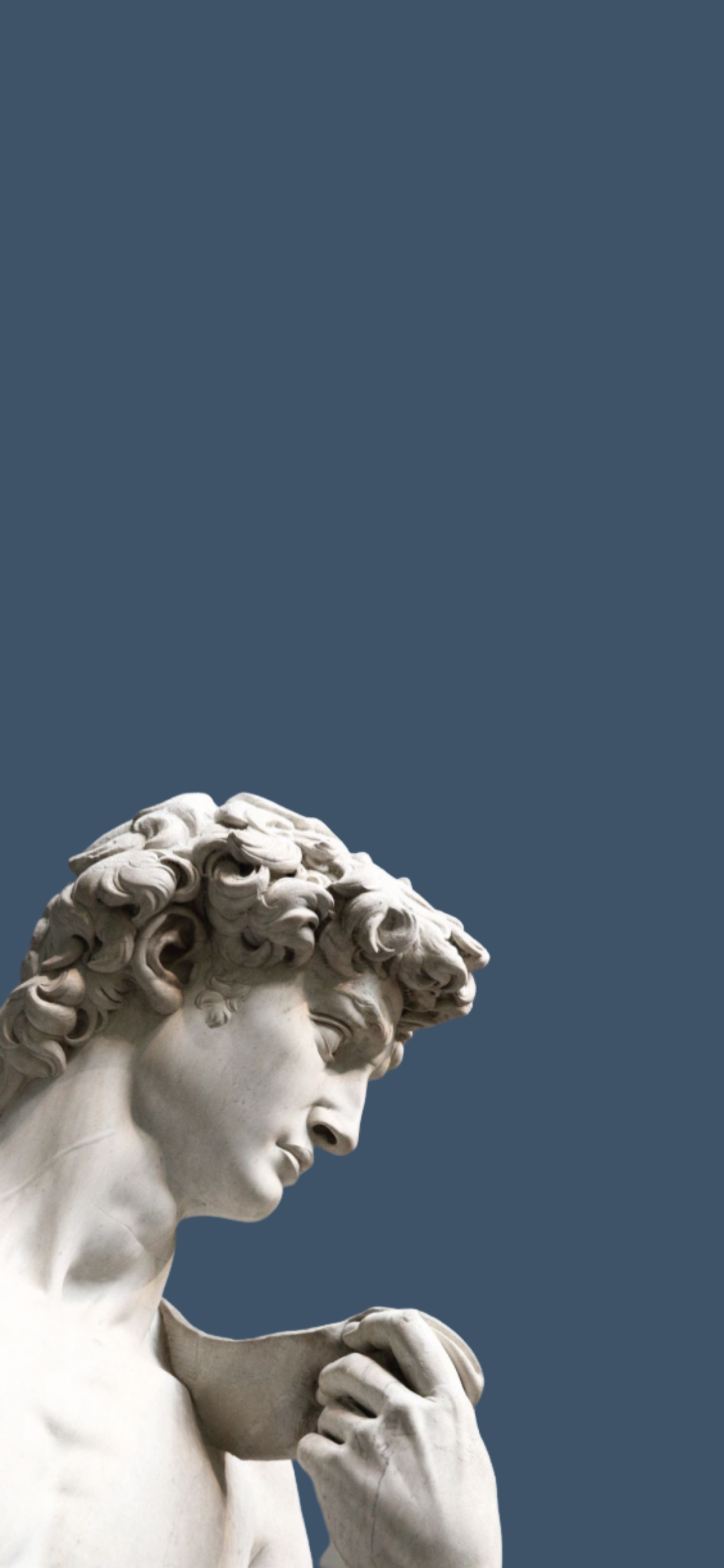 Michelangelo, David, Art wallpaper, Graphic art, 1130x2440 HD Phone